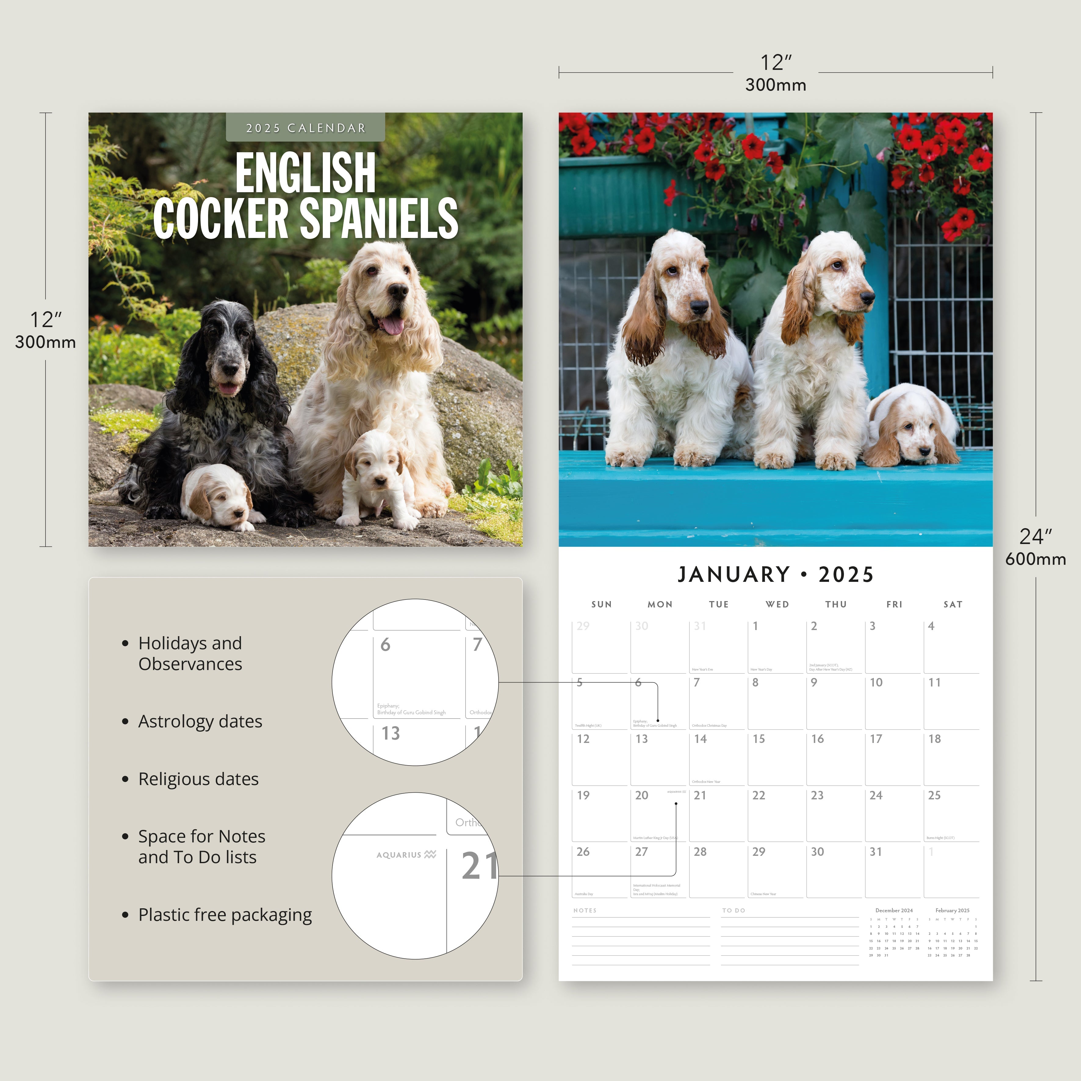 2025 English Cocker Spaniels - Square Wall Calendar