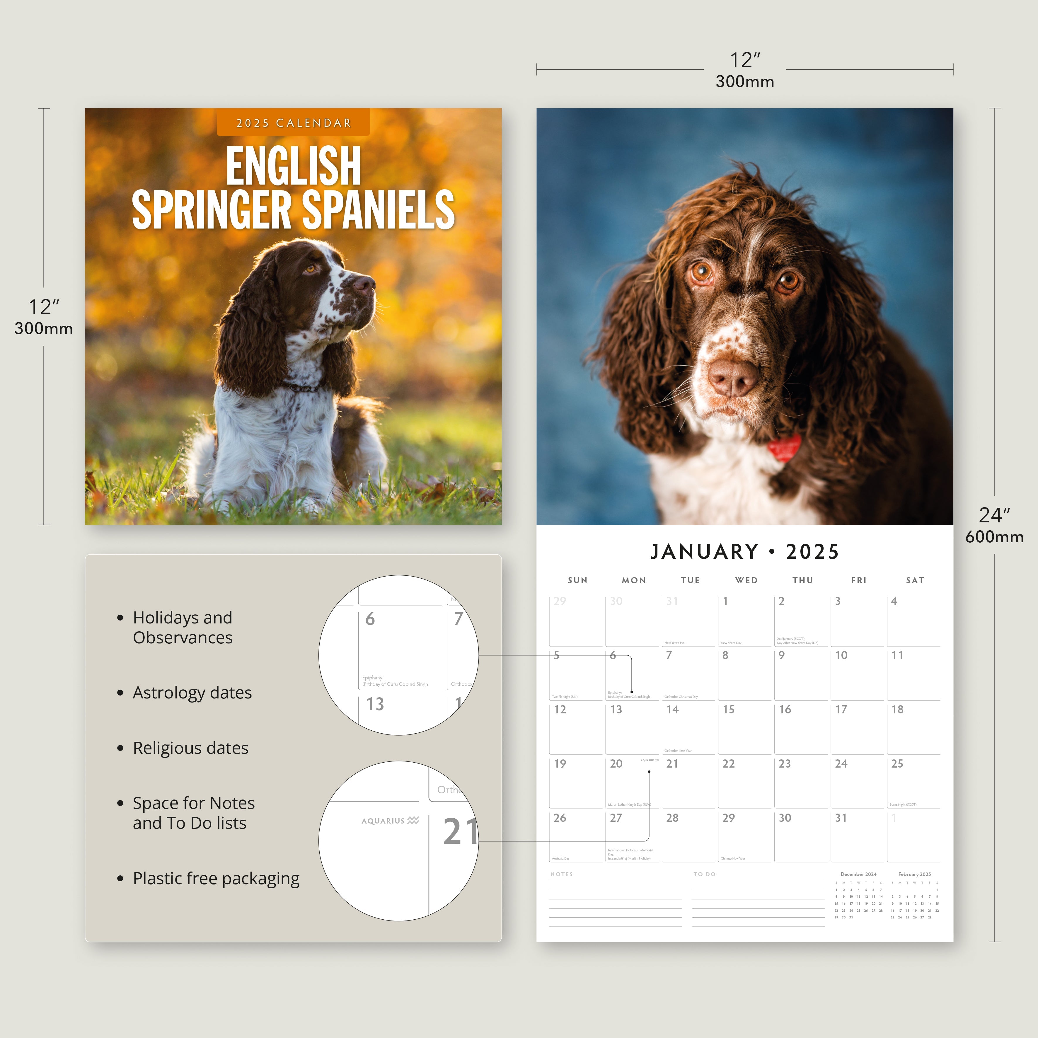 2025 English Springer Spaniels - Square Wall Calendar