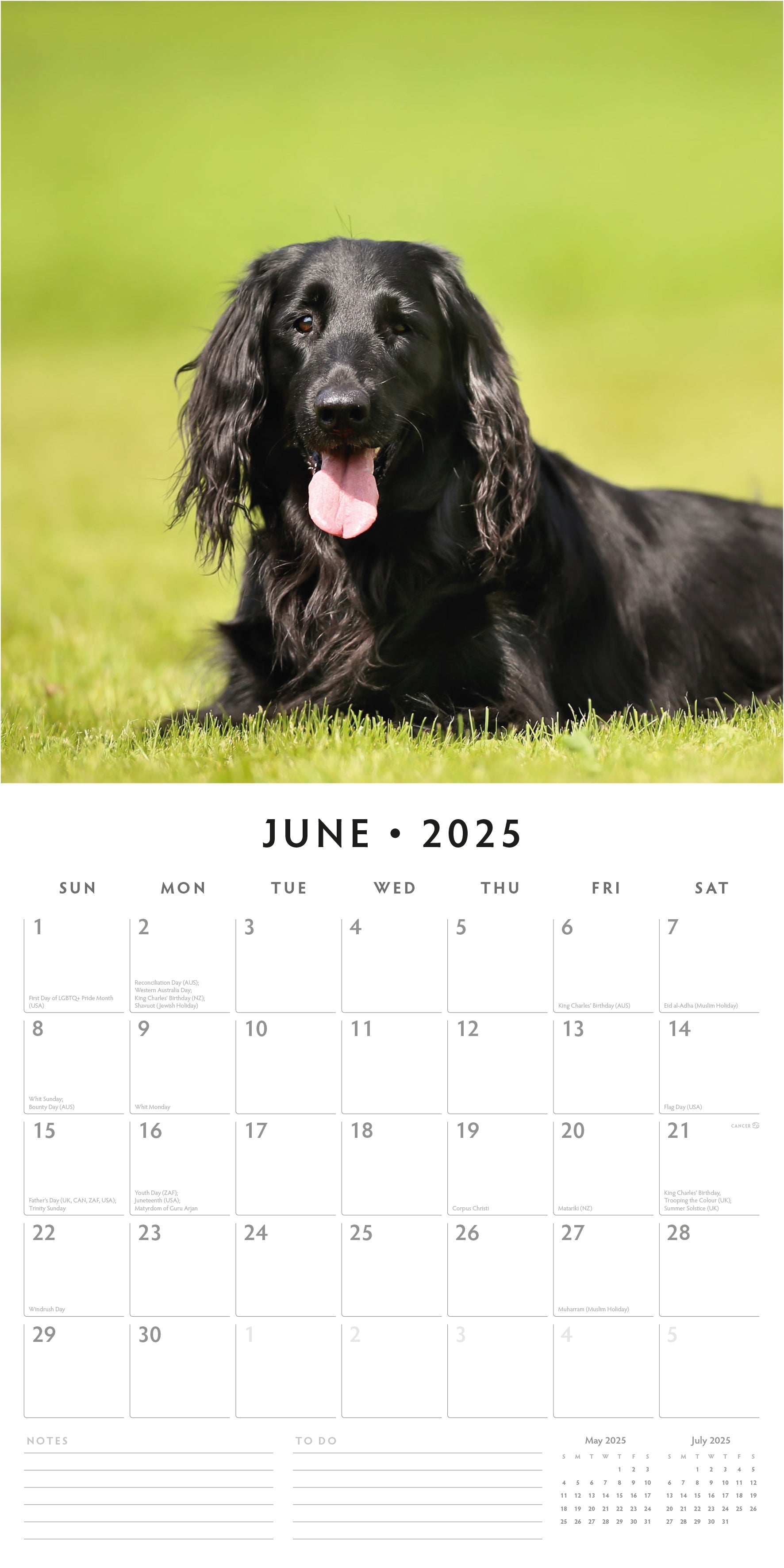 2025 Flat Coated Retrievers - Square Wall Calendar