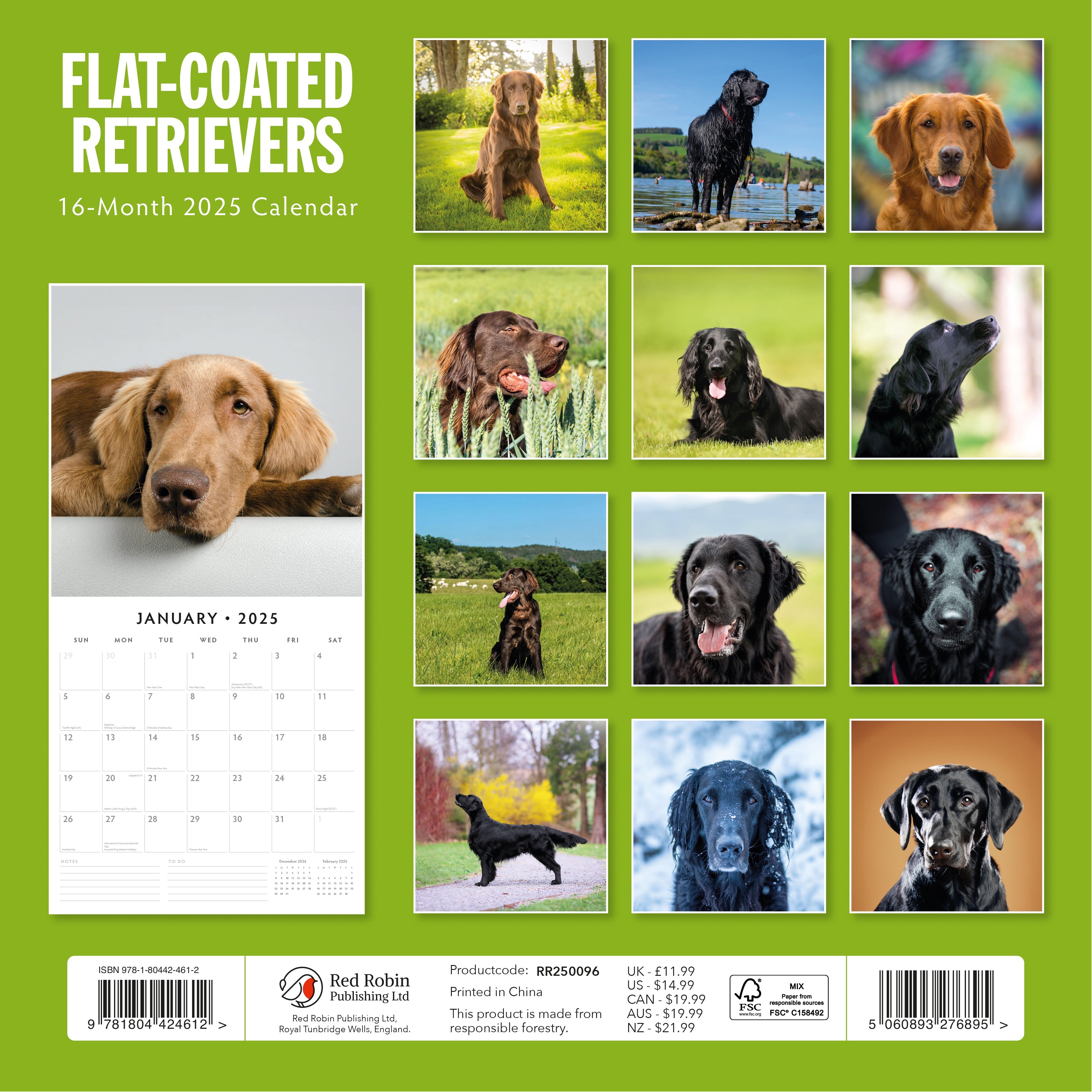 2025 Flat Coated Retrievers - Square Wall Calendar