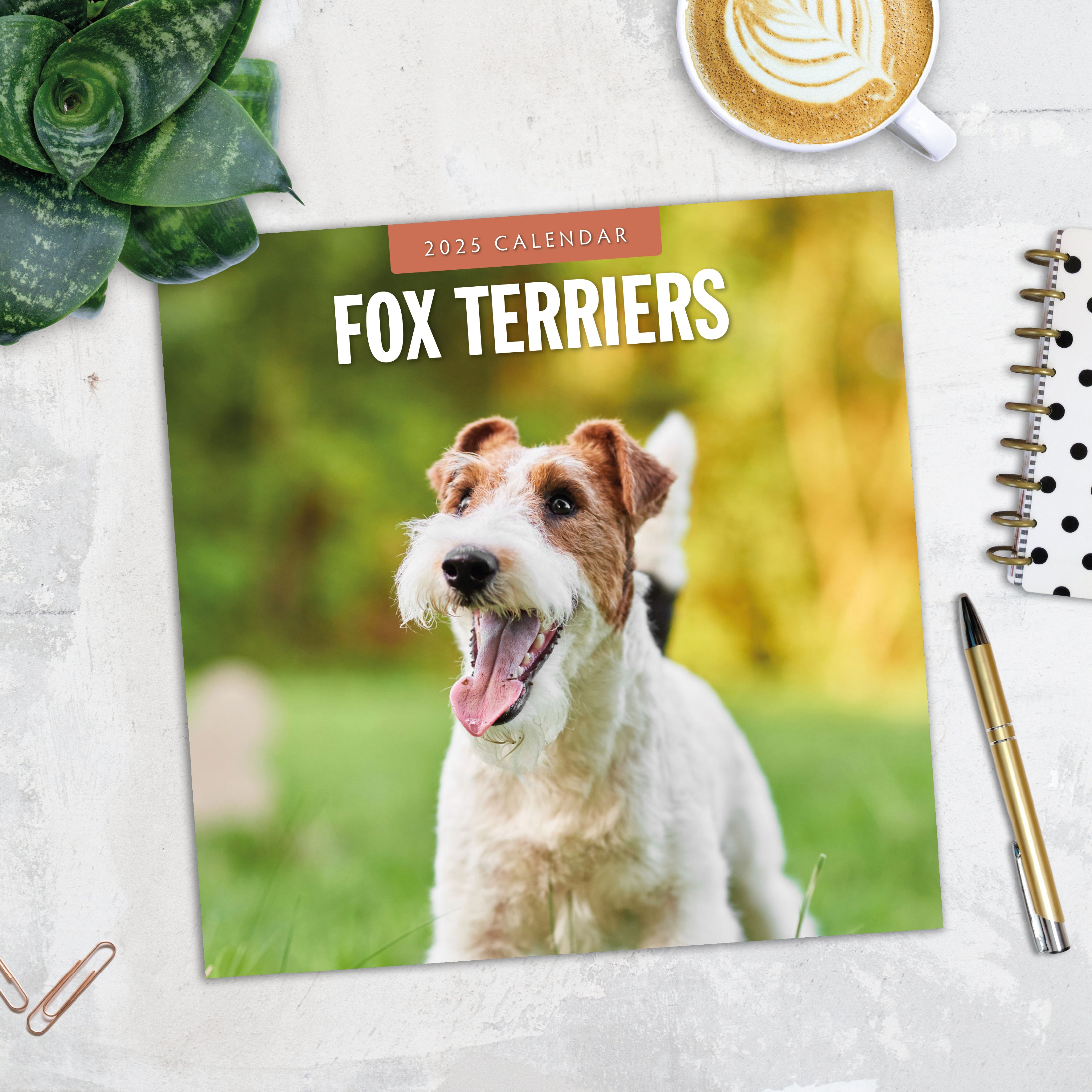 2025 Fox Terriers - Square Wall Calendar