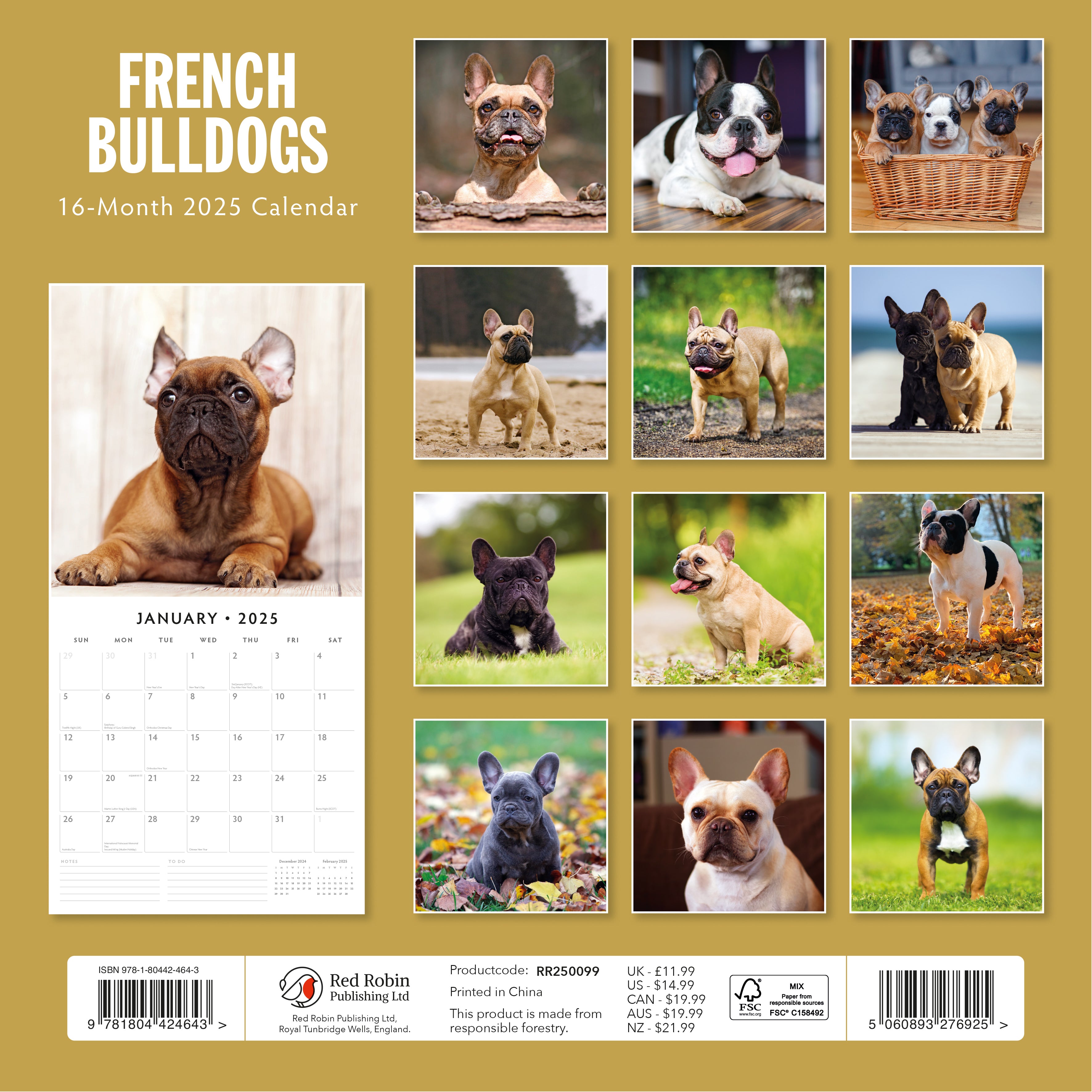 2025 French Bulldogs - Square Wall Calendar