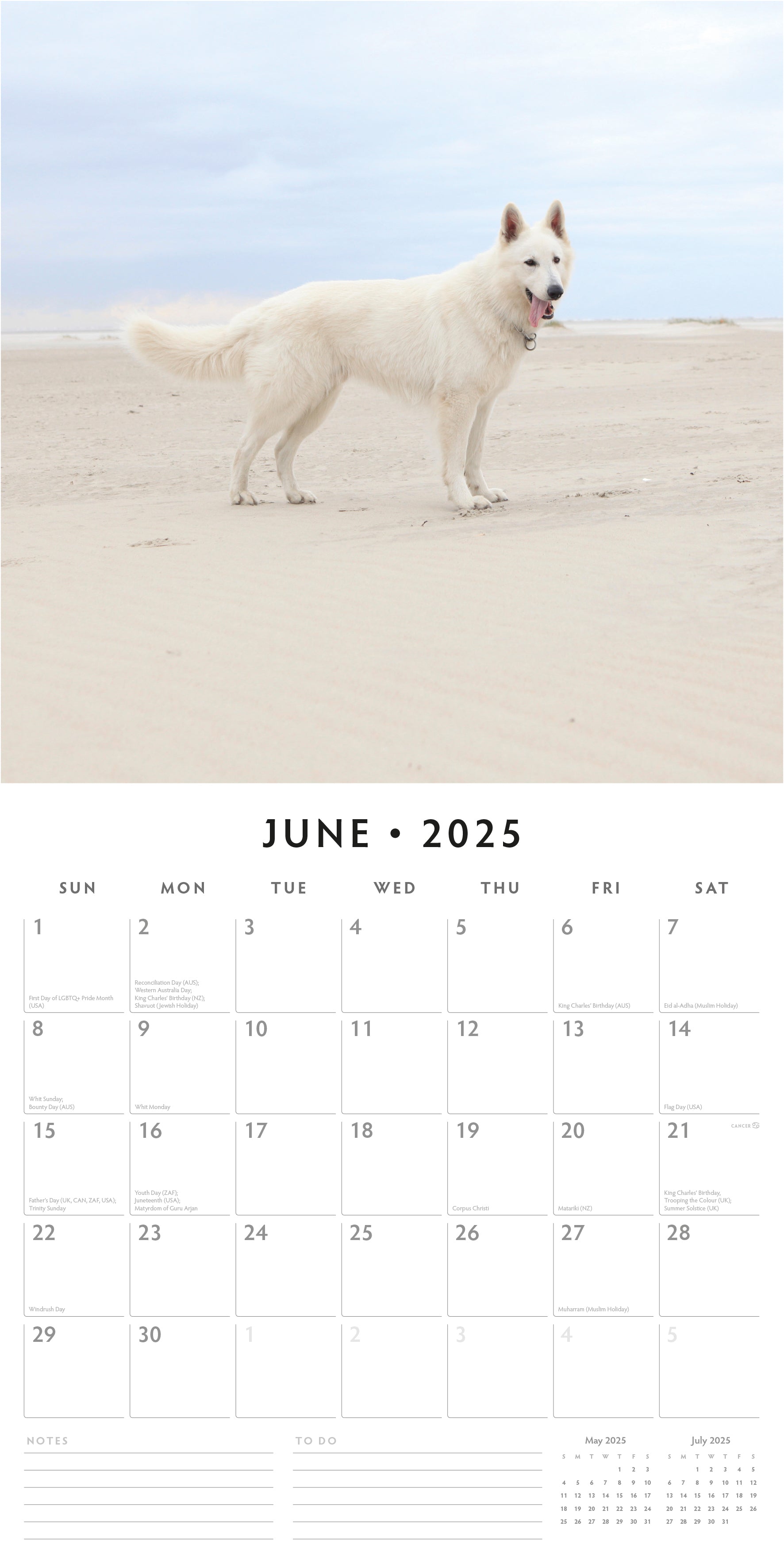 2025 White German Shepherd - Square Wall Calendar