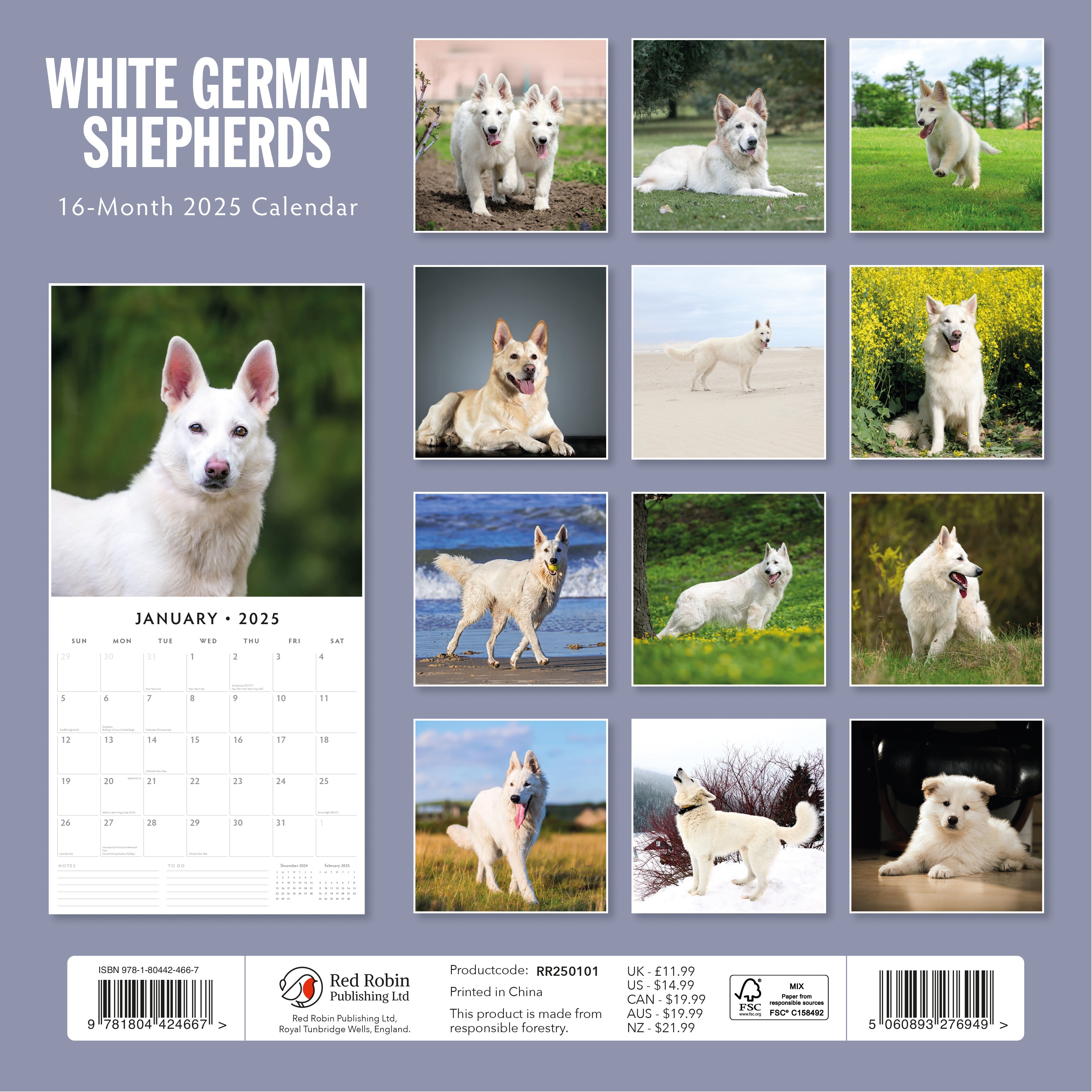 2025 White German Shepherd - Square Wall Calendar