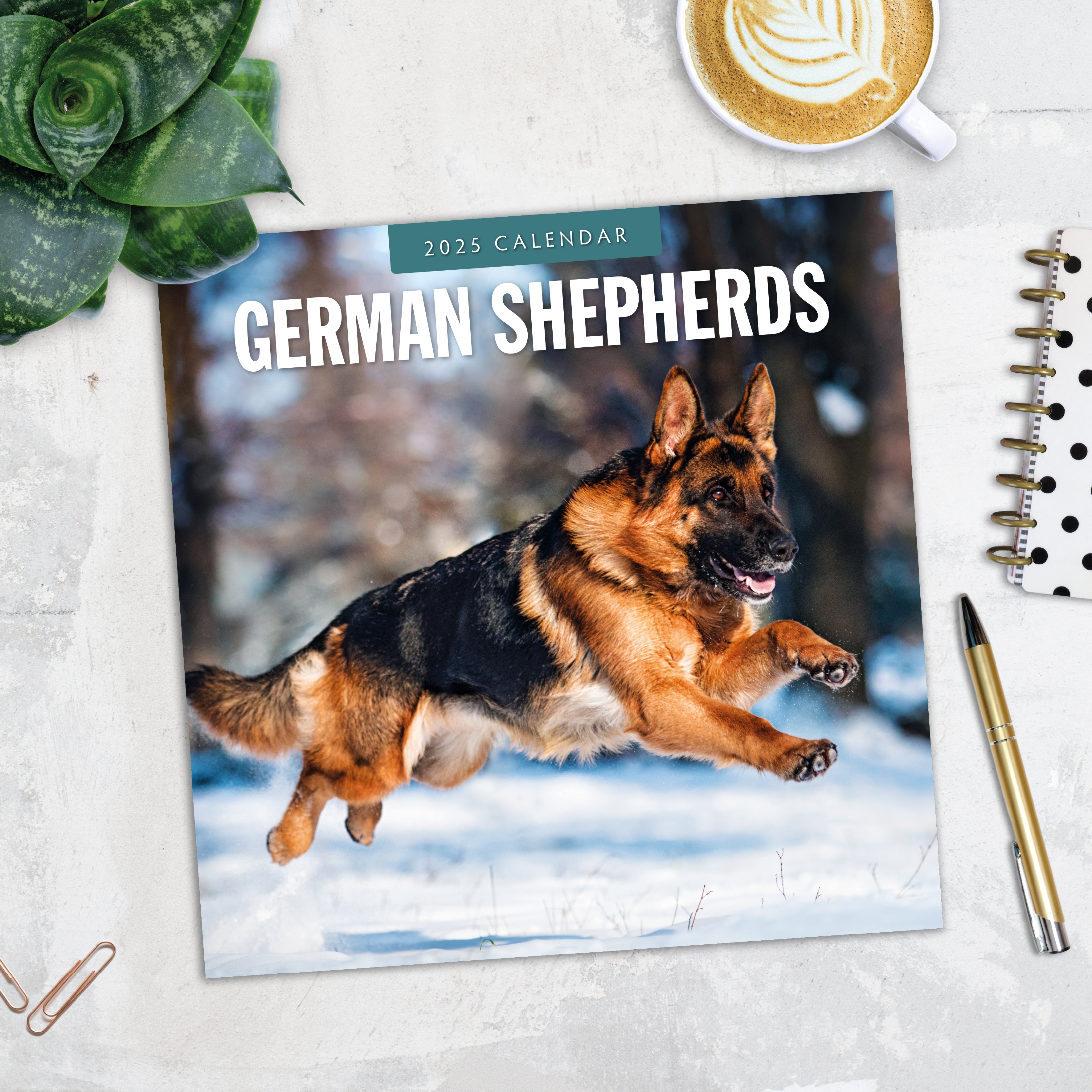 2025 German Shepherds - Square Wall Calendar