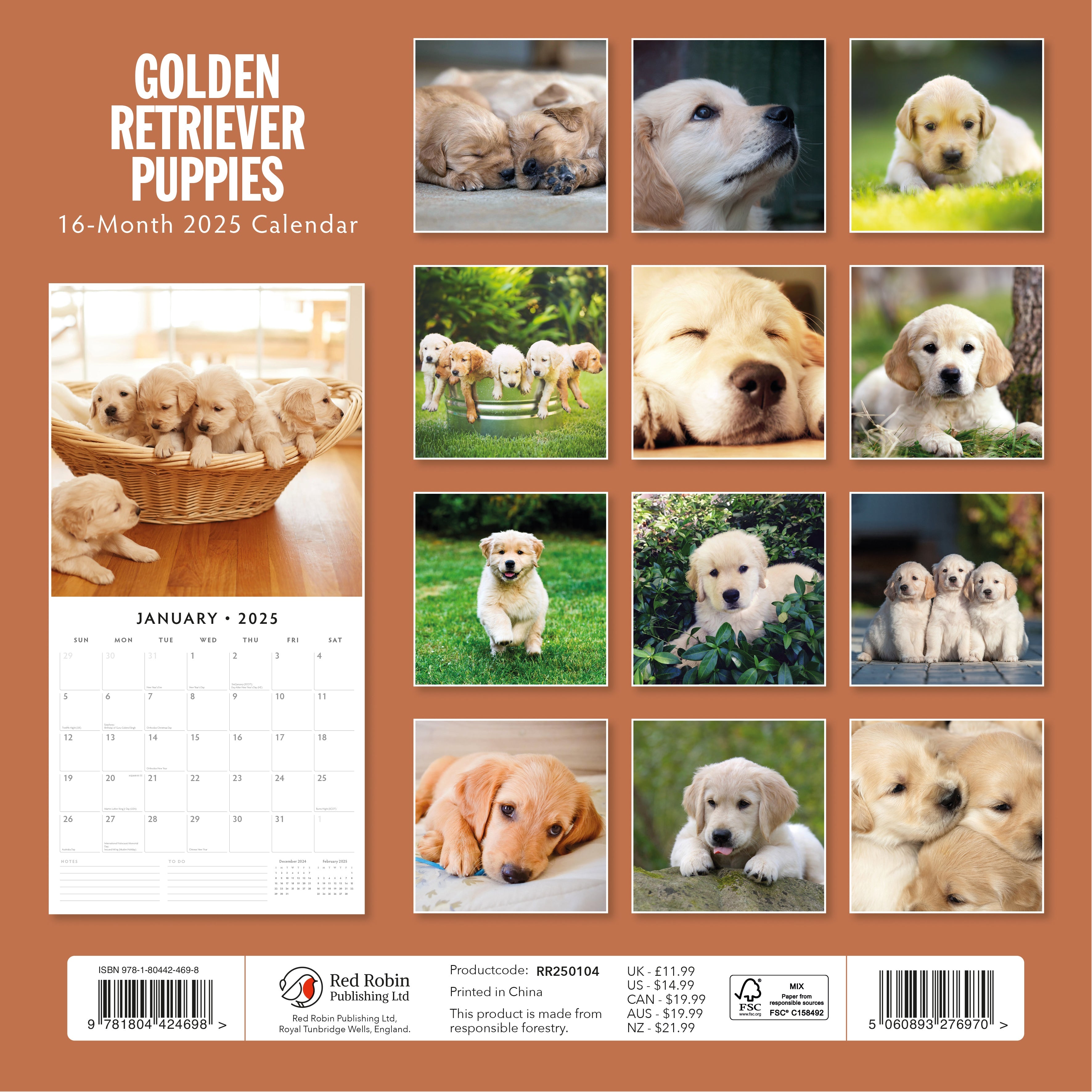 2025 Golden Retriever Puppies - Square Wall Calendar