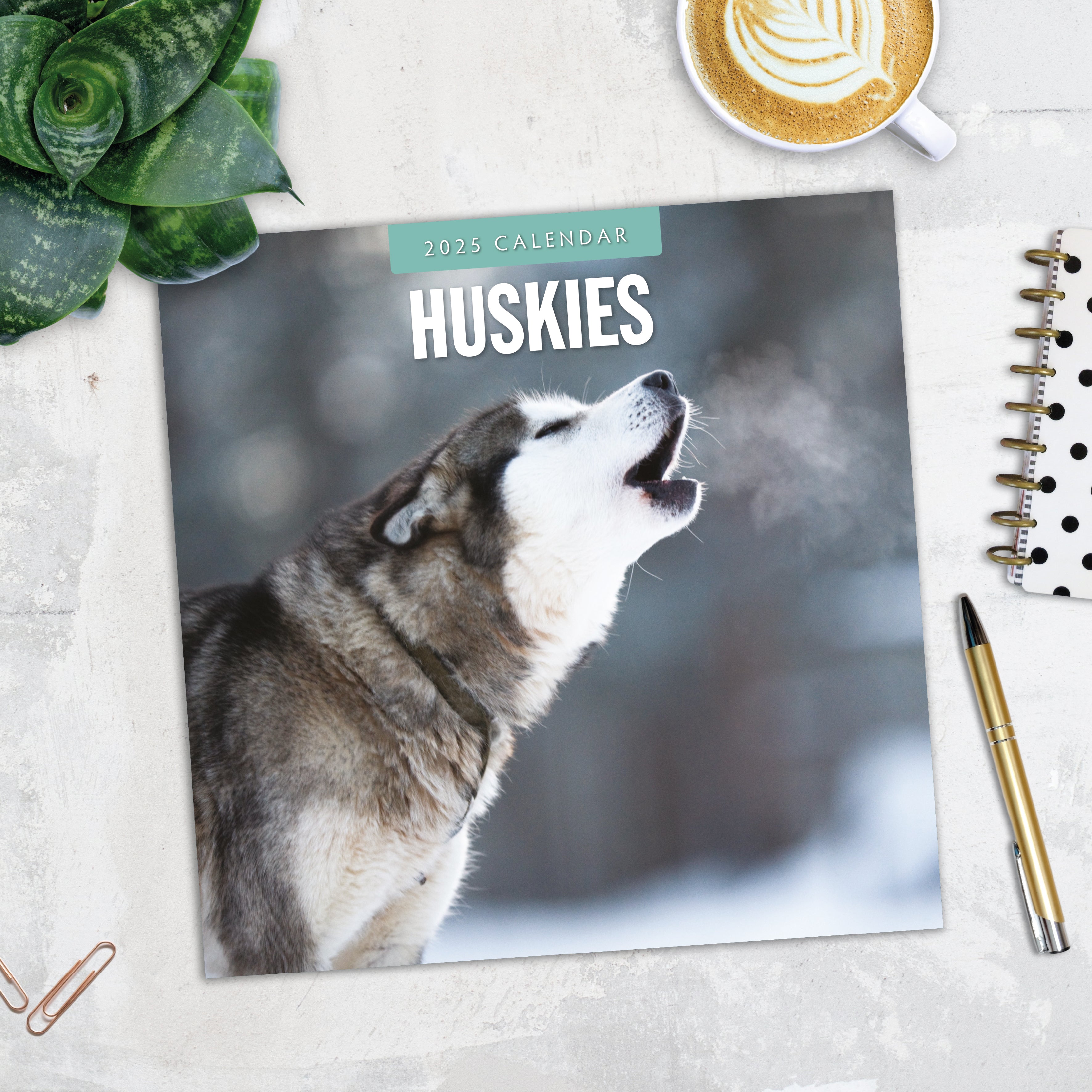 2025 Huskies - Square Wall Calendar