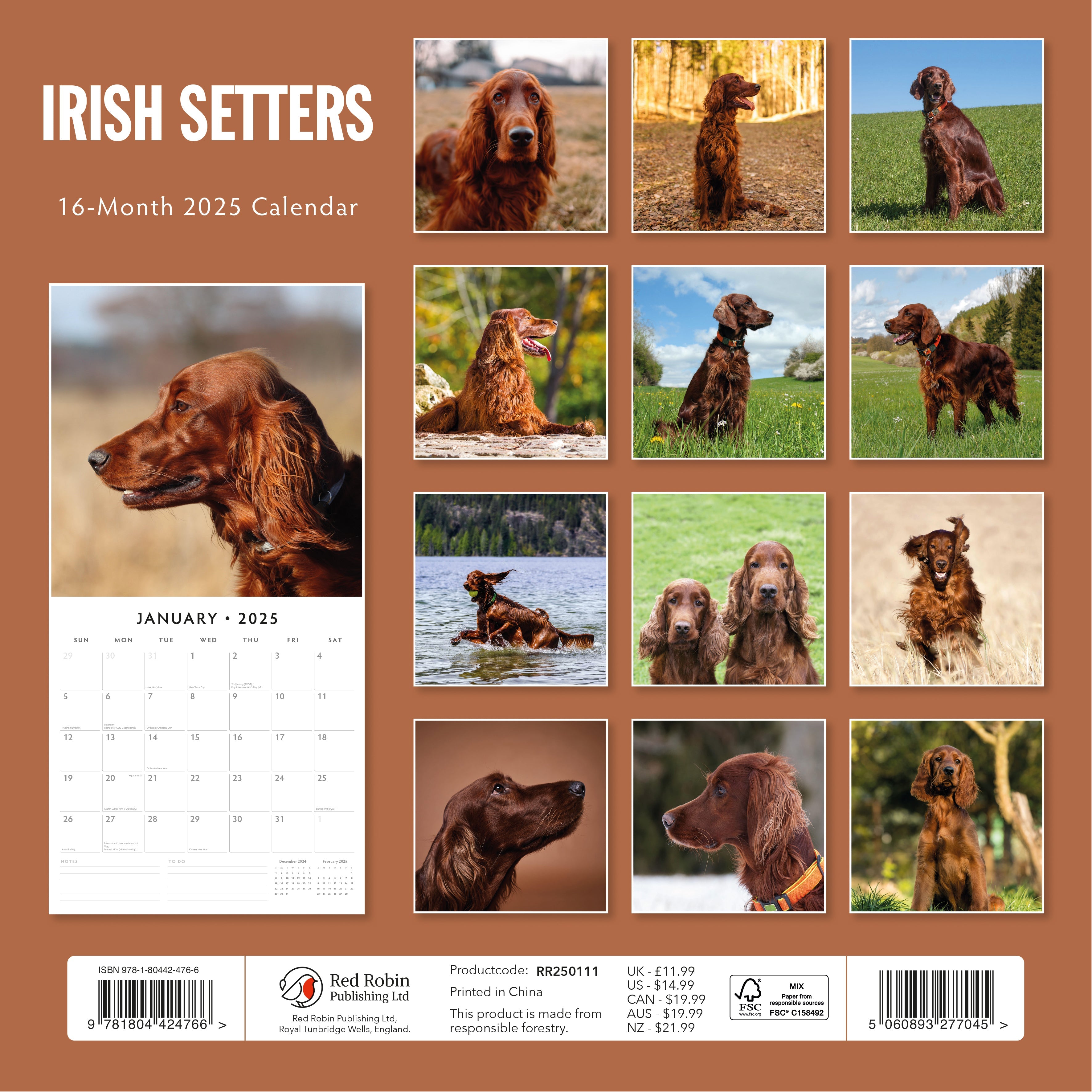 2025 Irish Setters - Square Wall Calendar