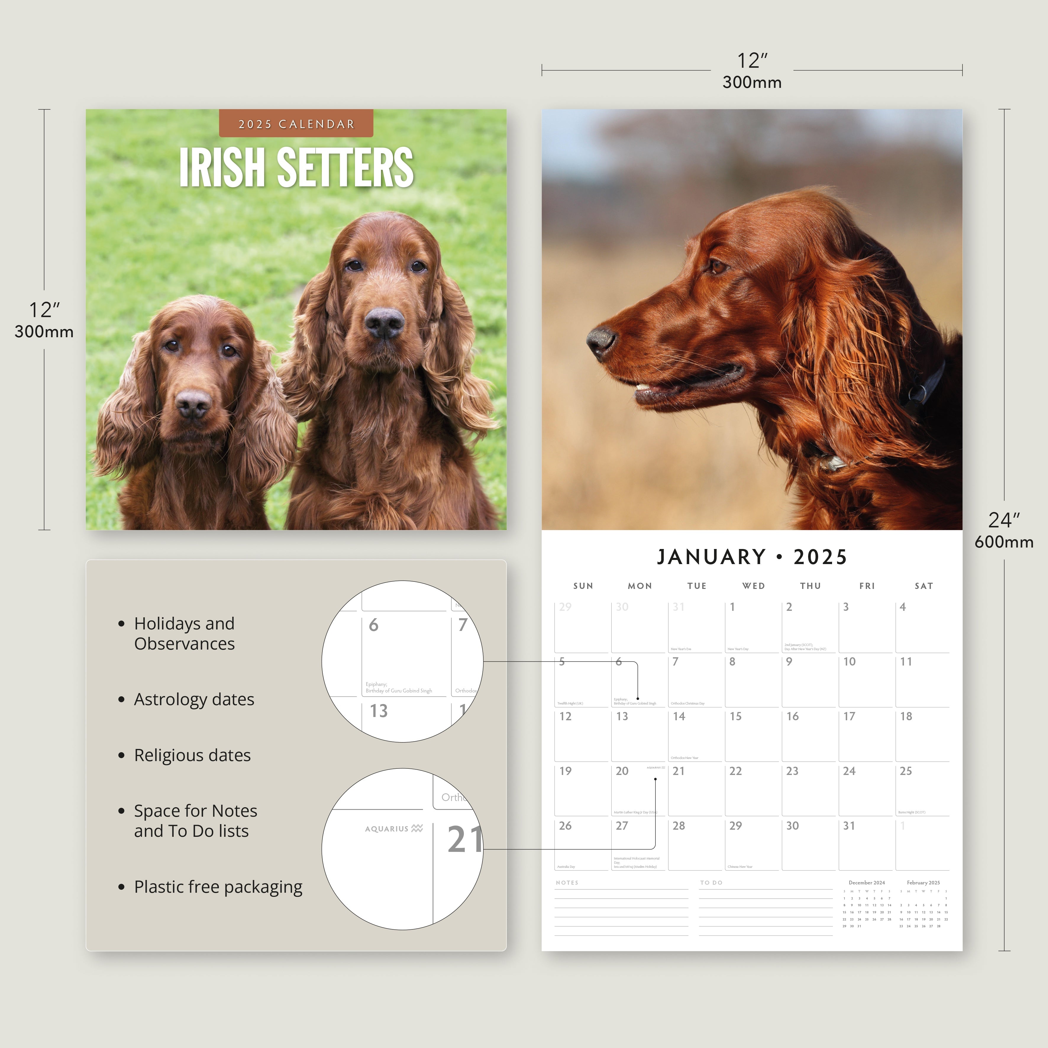 2025 Irish Setters - Square Wall Calendar