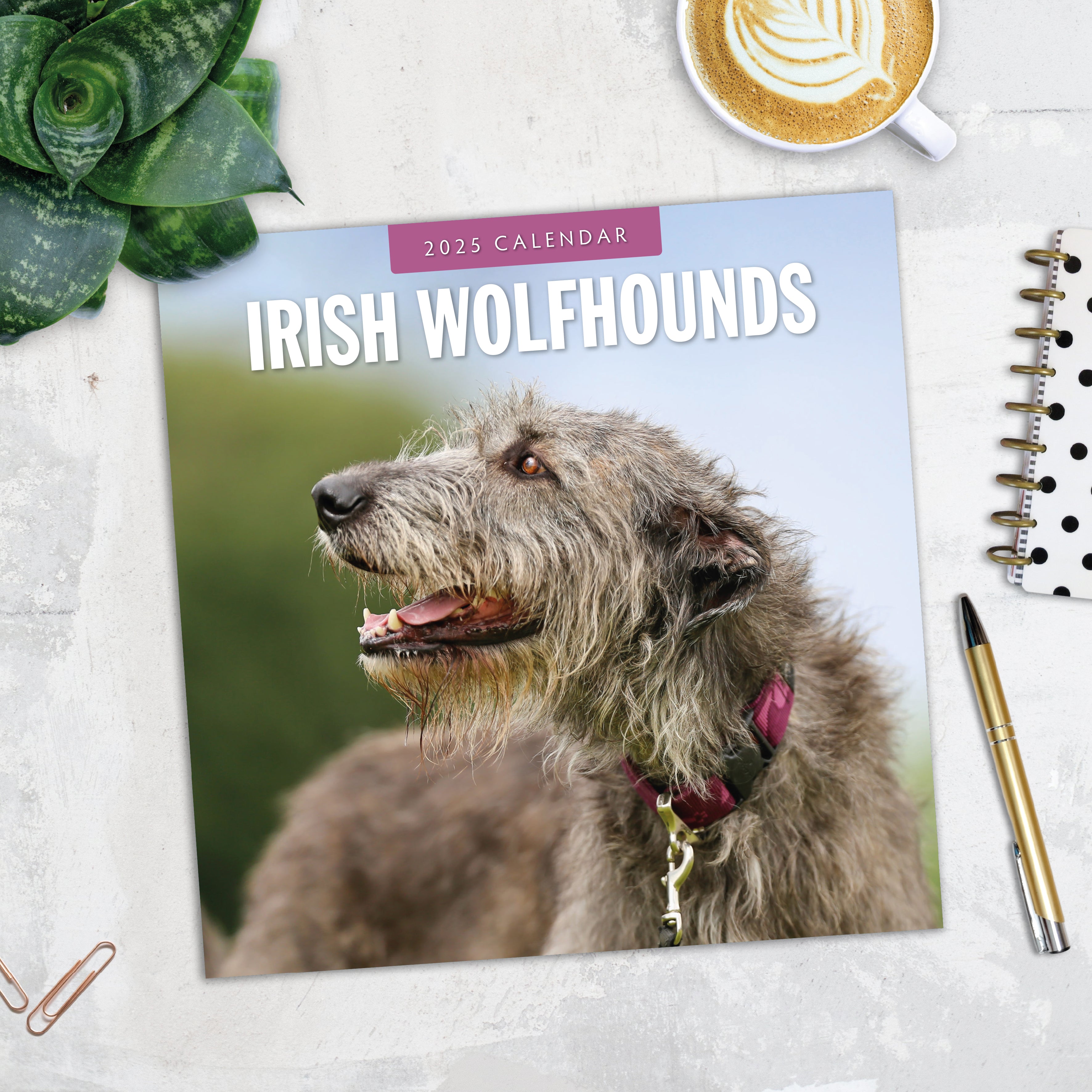 2025 Irish Wolf Hounds - Square Wall Calendar