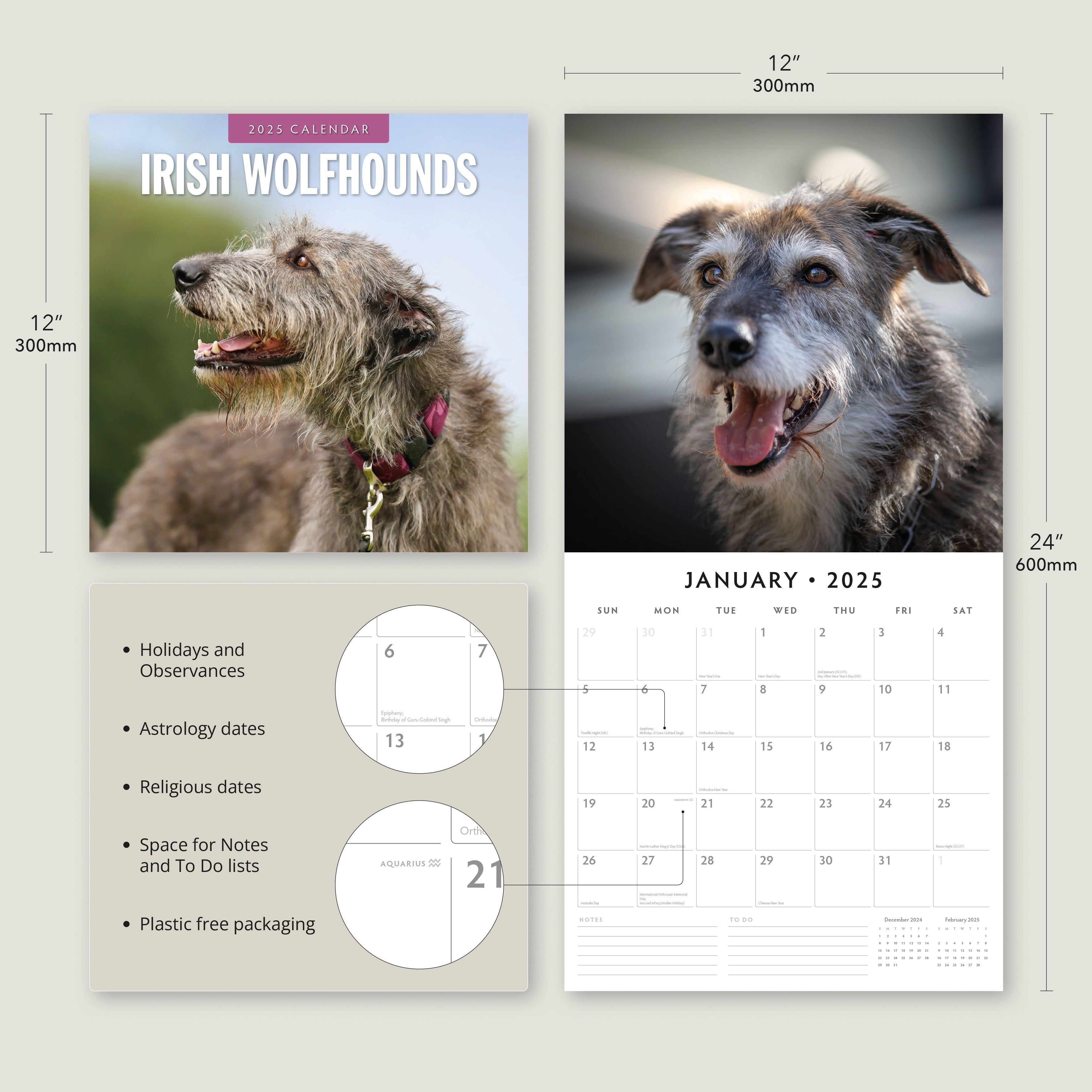 2025 Irish Wolf Hounds - Square Wall Calendar