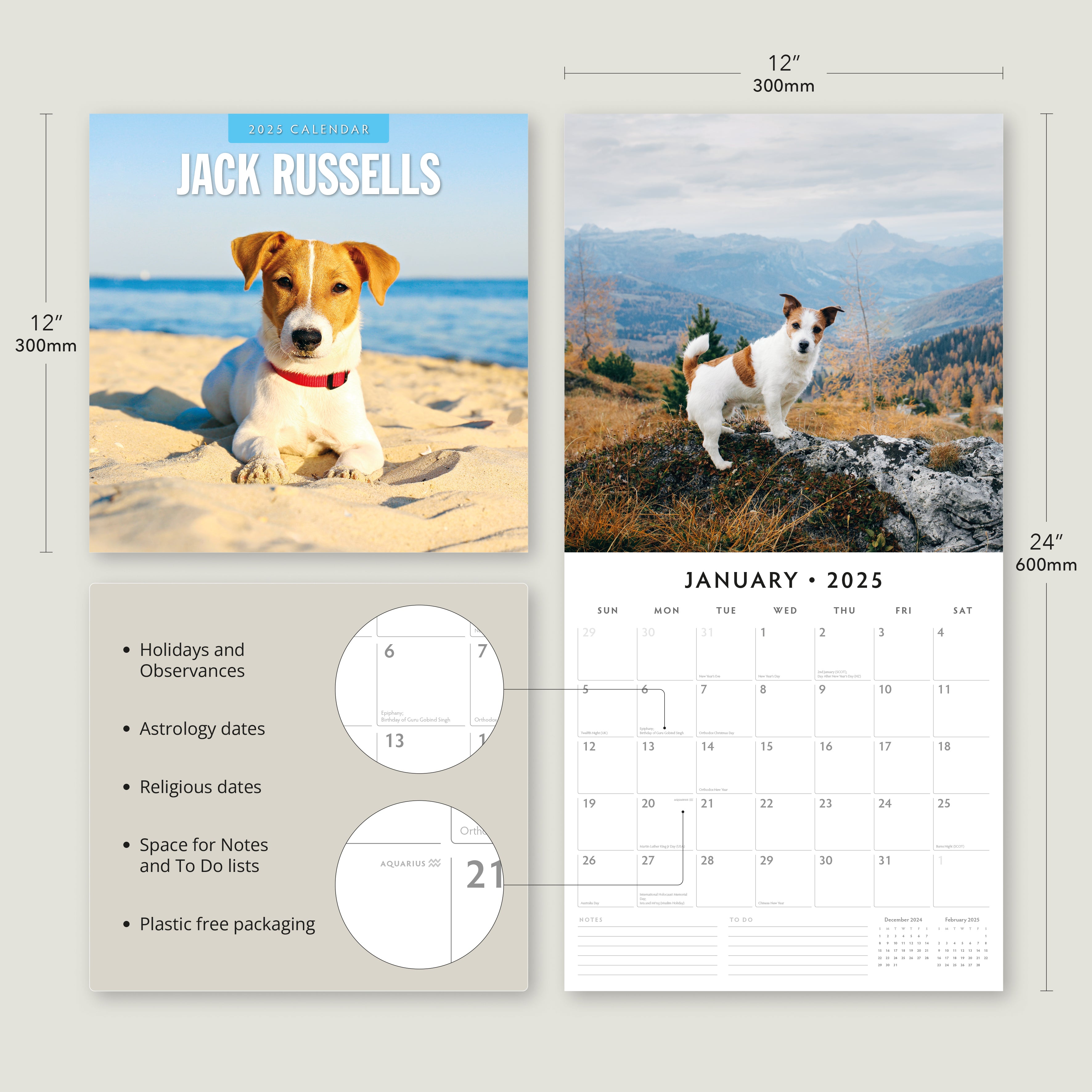 2025 Jack Russells - Square Wall Calendar