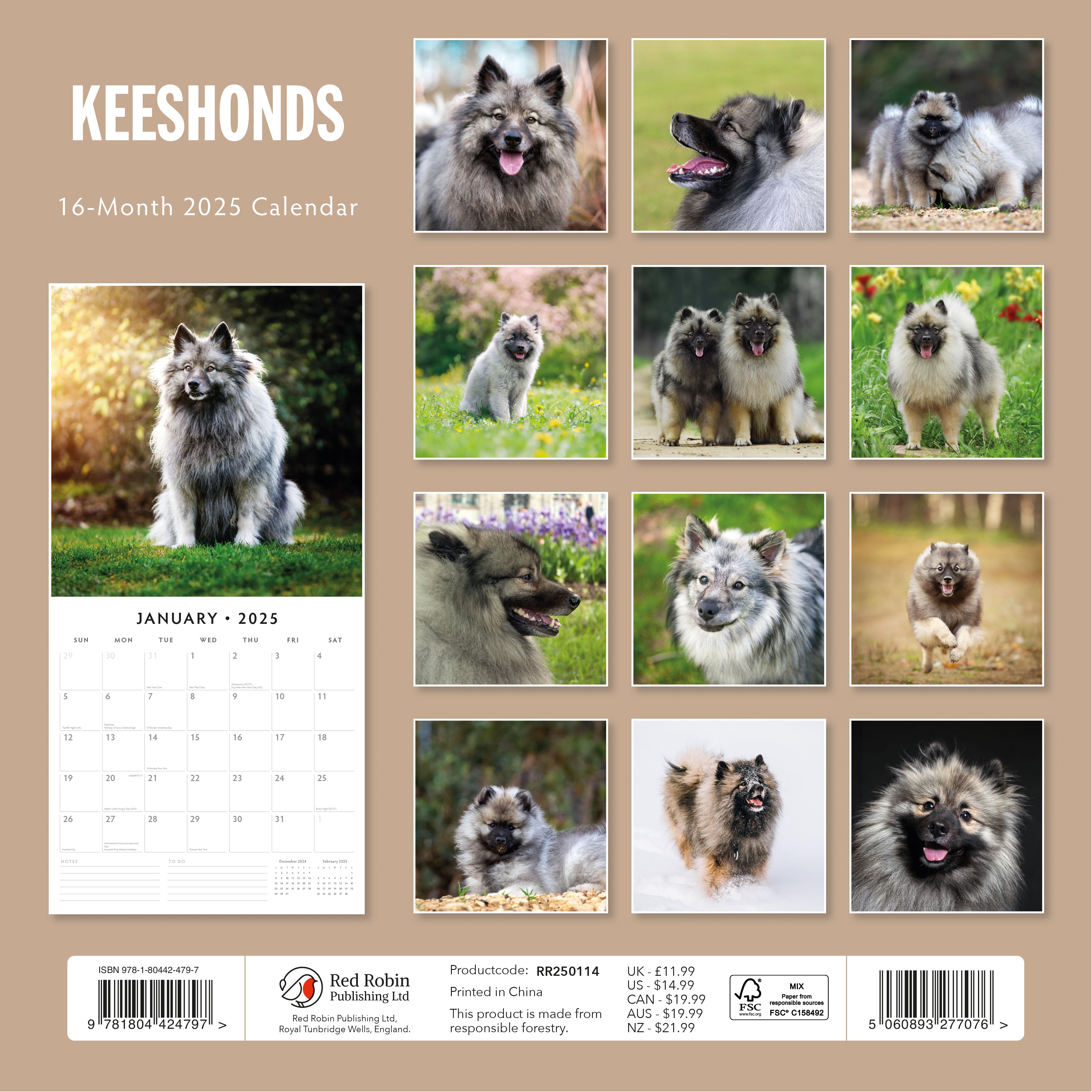 2025 Keeshonds - Square Wall Calendar