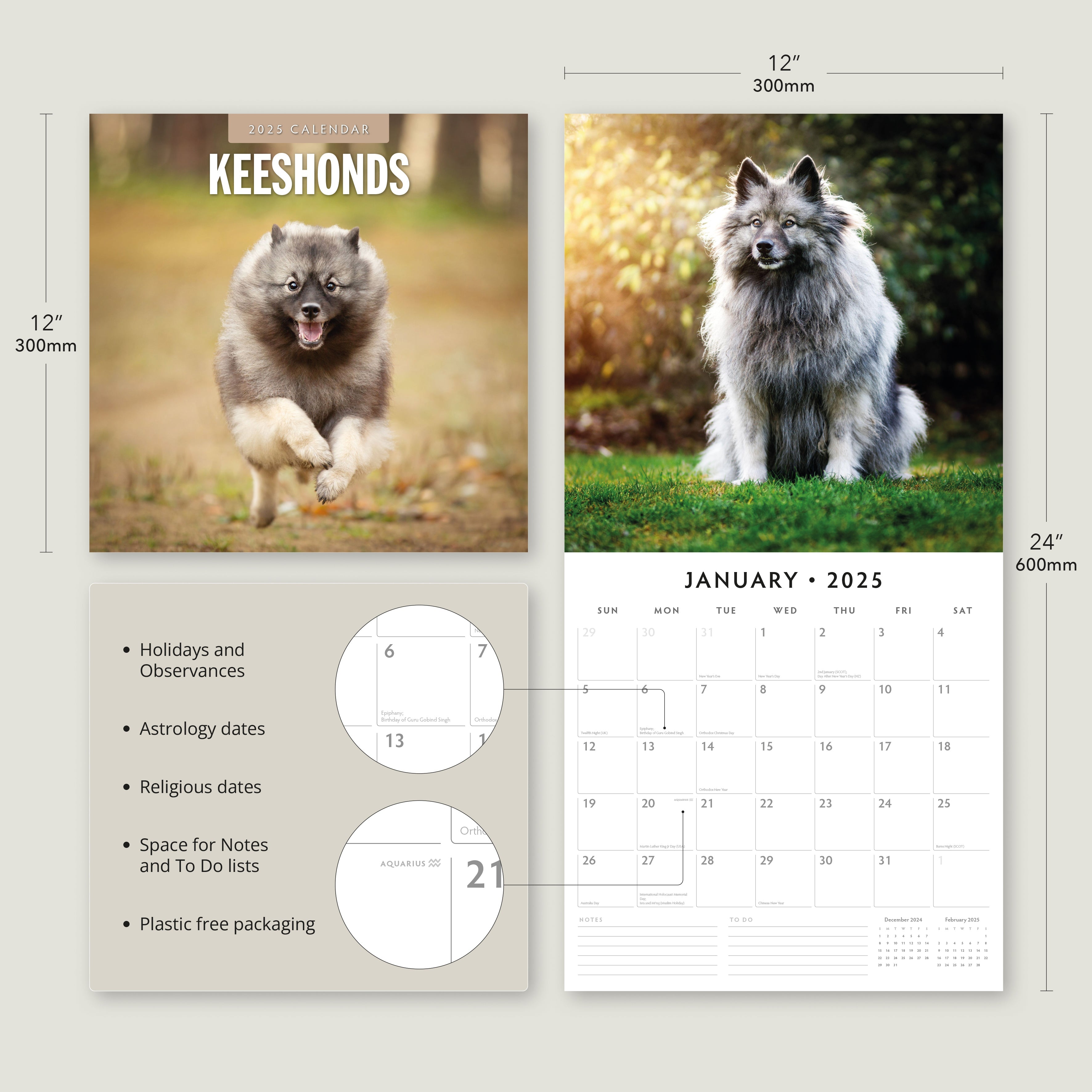 2025 Keeshonds - Square Wall Calendar