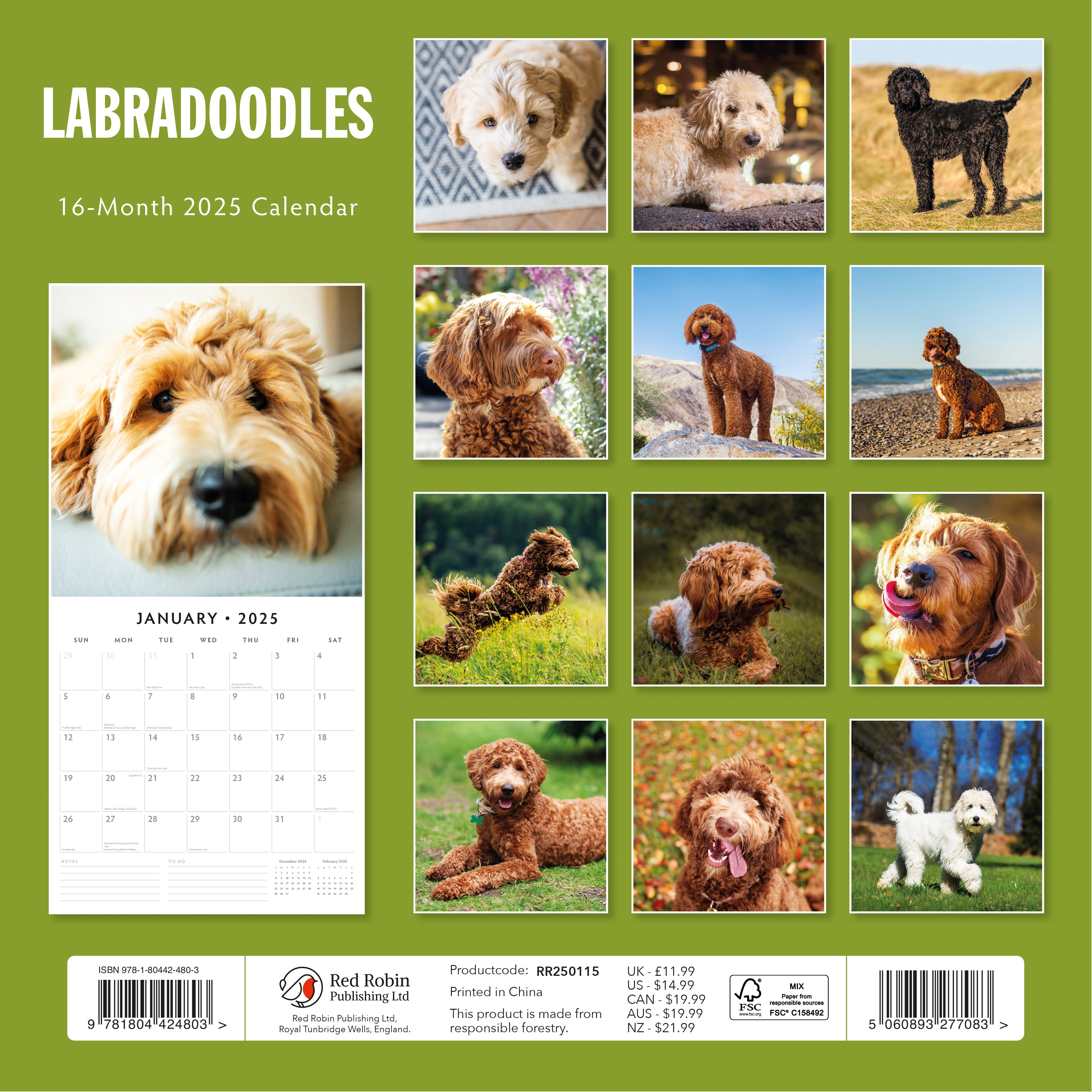 2025 Labradoodles - Square Wall Calendar