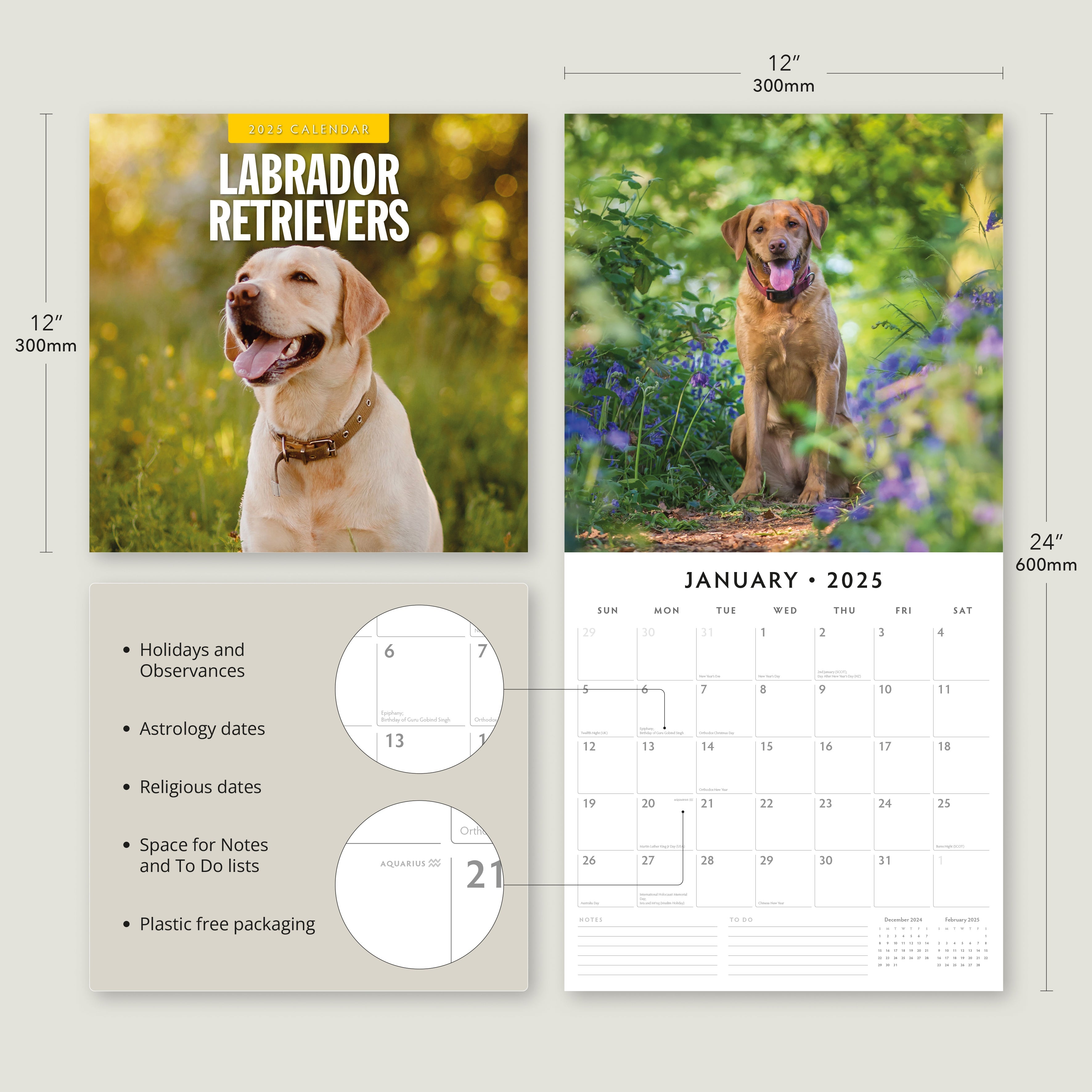 2025 Labrador Retrievers - Square Wall Calendar