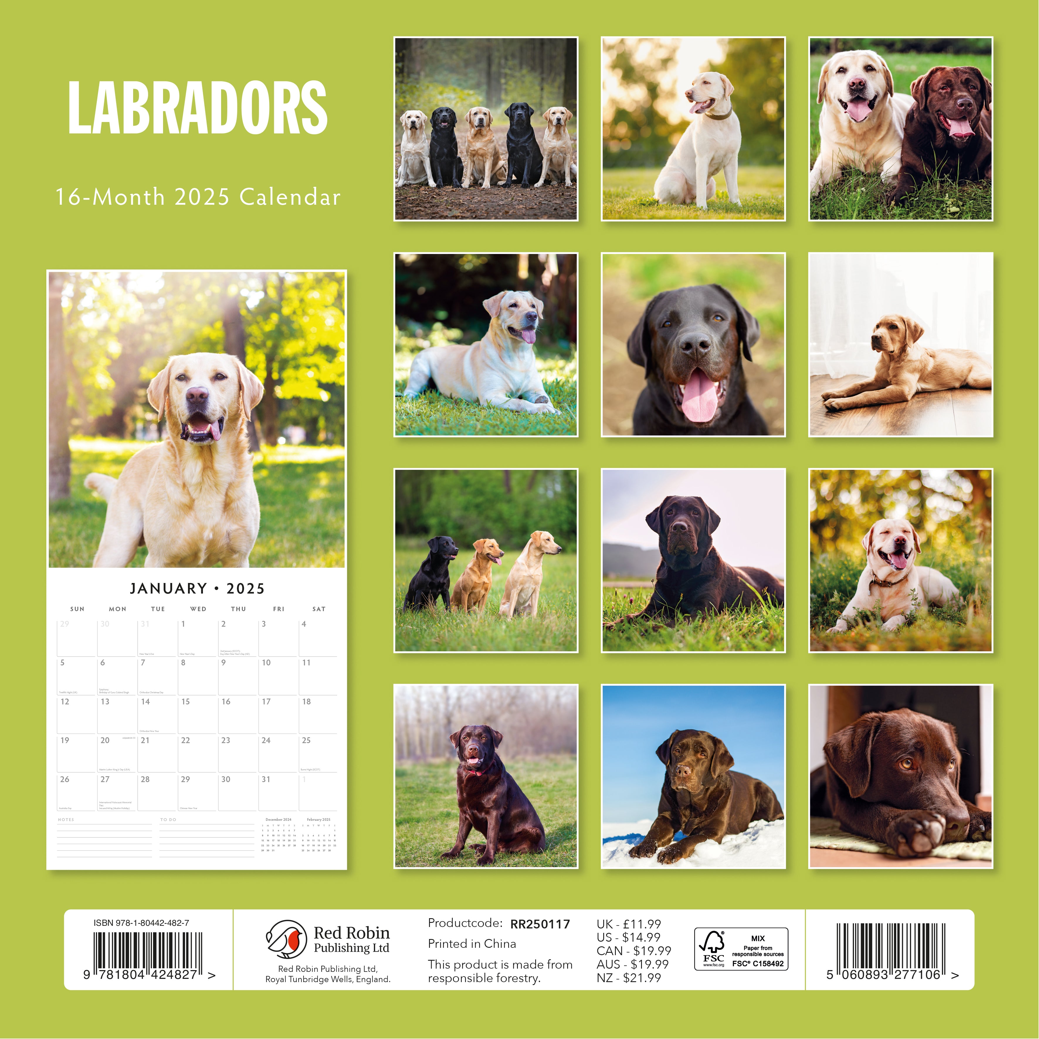 2025 Labradors - Square Wall Calendar