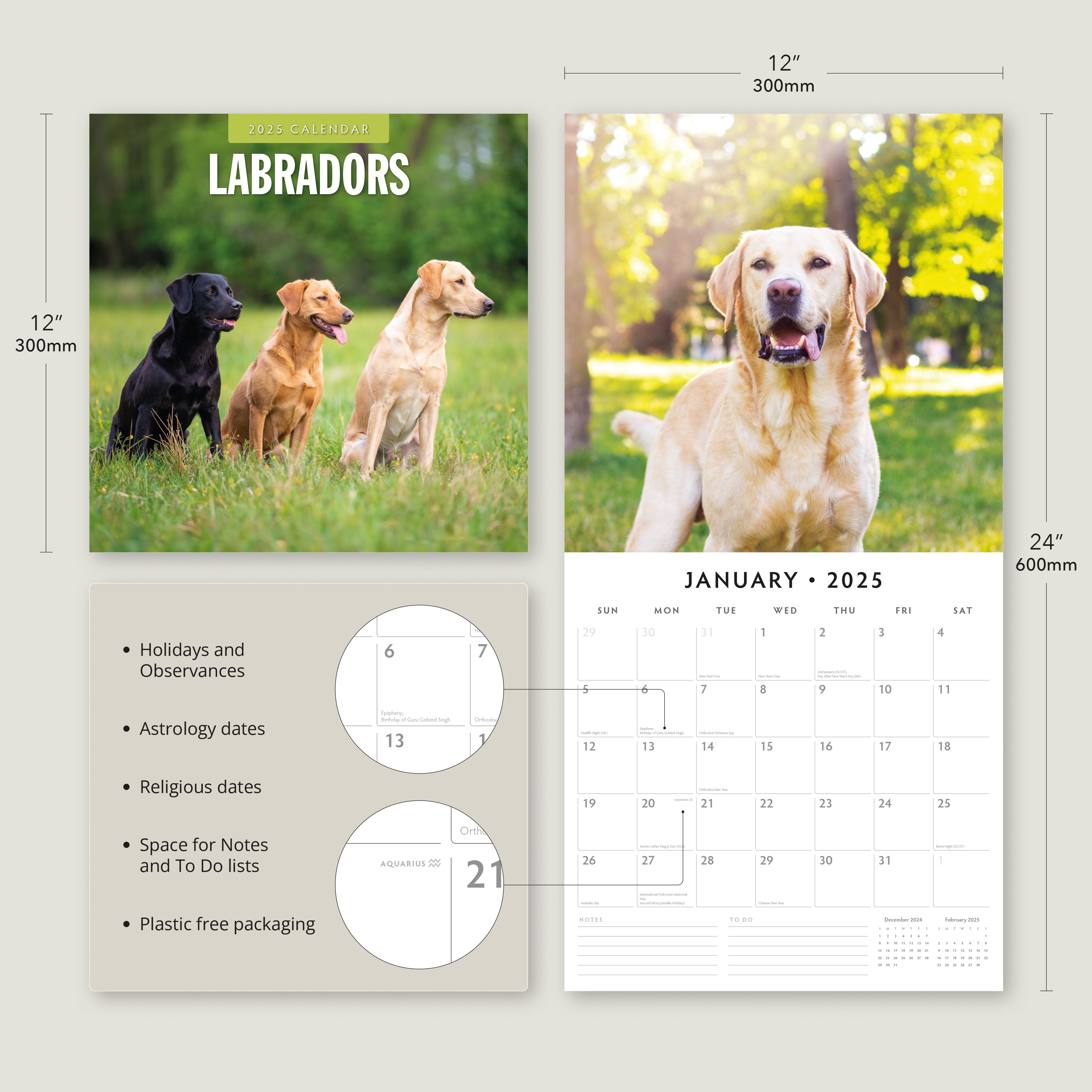 2025 Labradors - Square Wall Calendar