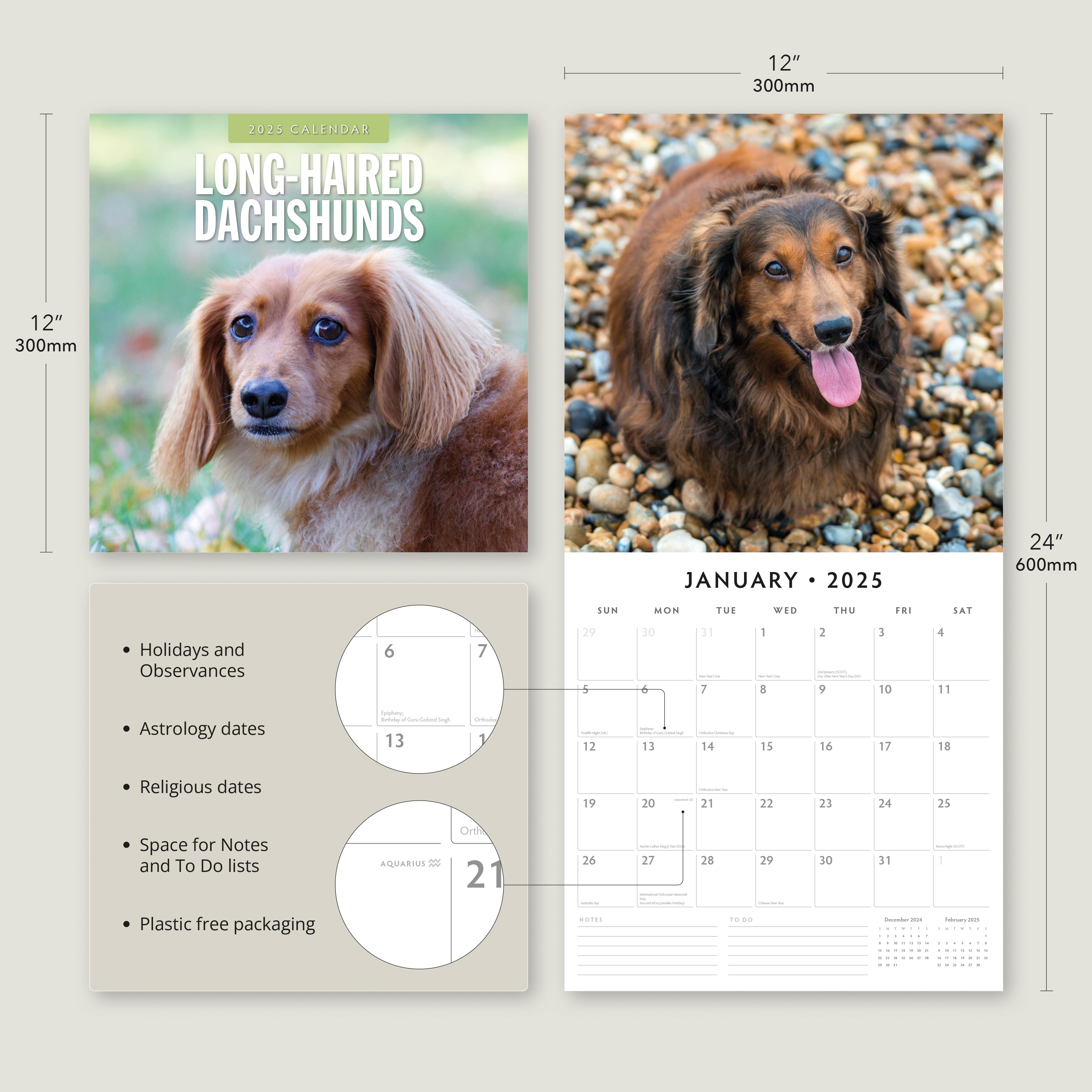 2025 Long-Haired Dachshunds - Square Wall Calendar