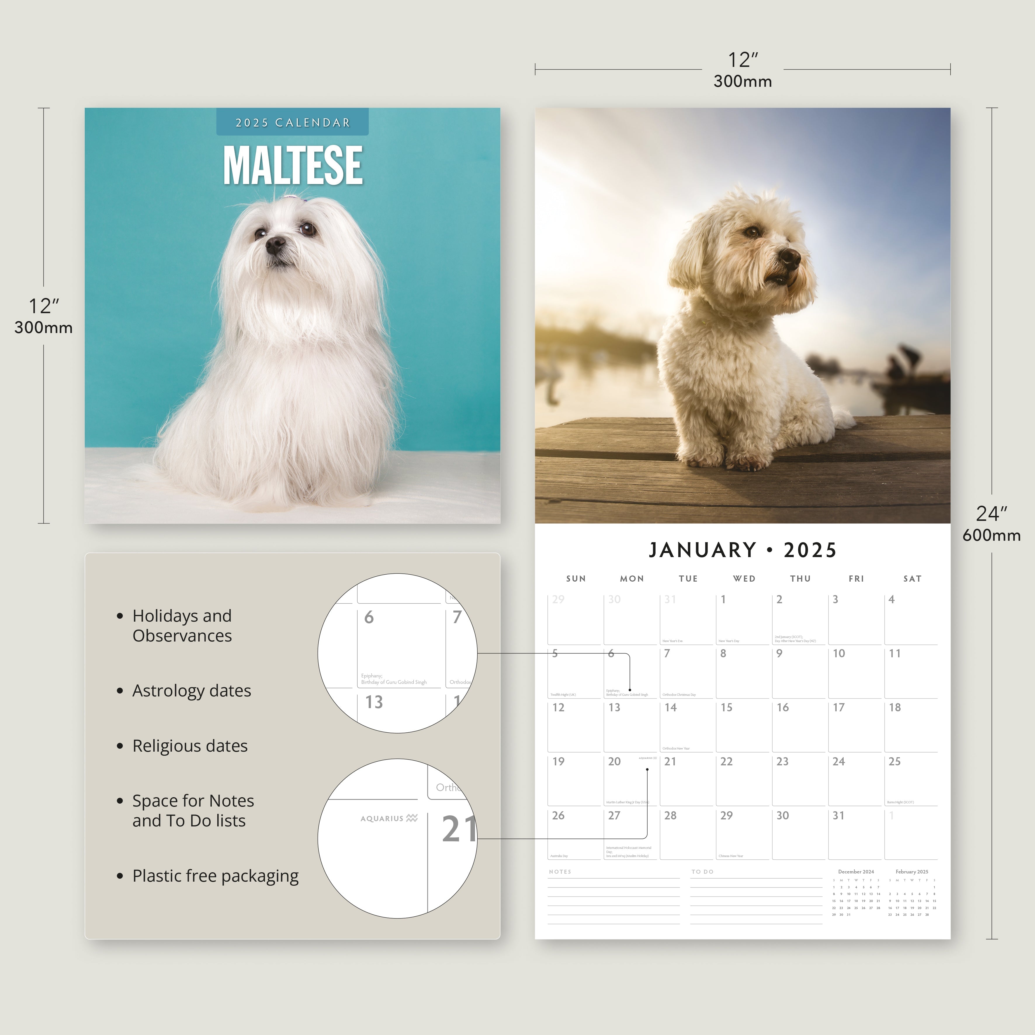 2025 Maltese - Square Wall Calendar