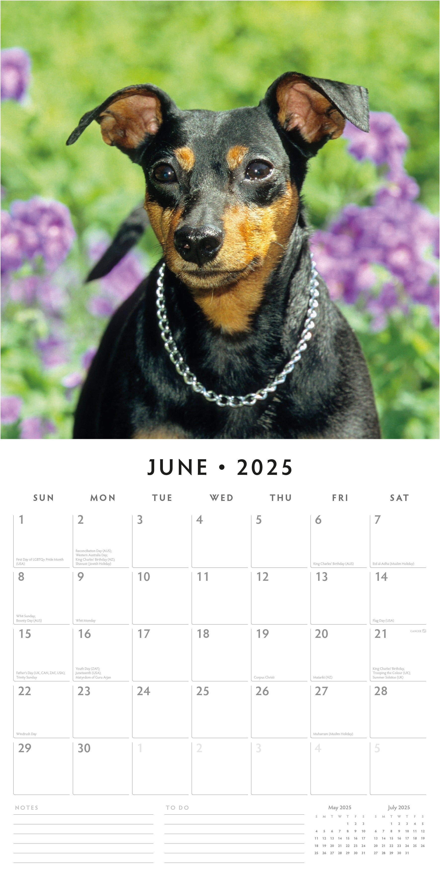 2025 Miniature Pinschers - Square Wall Calendar