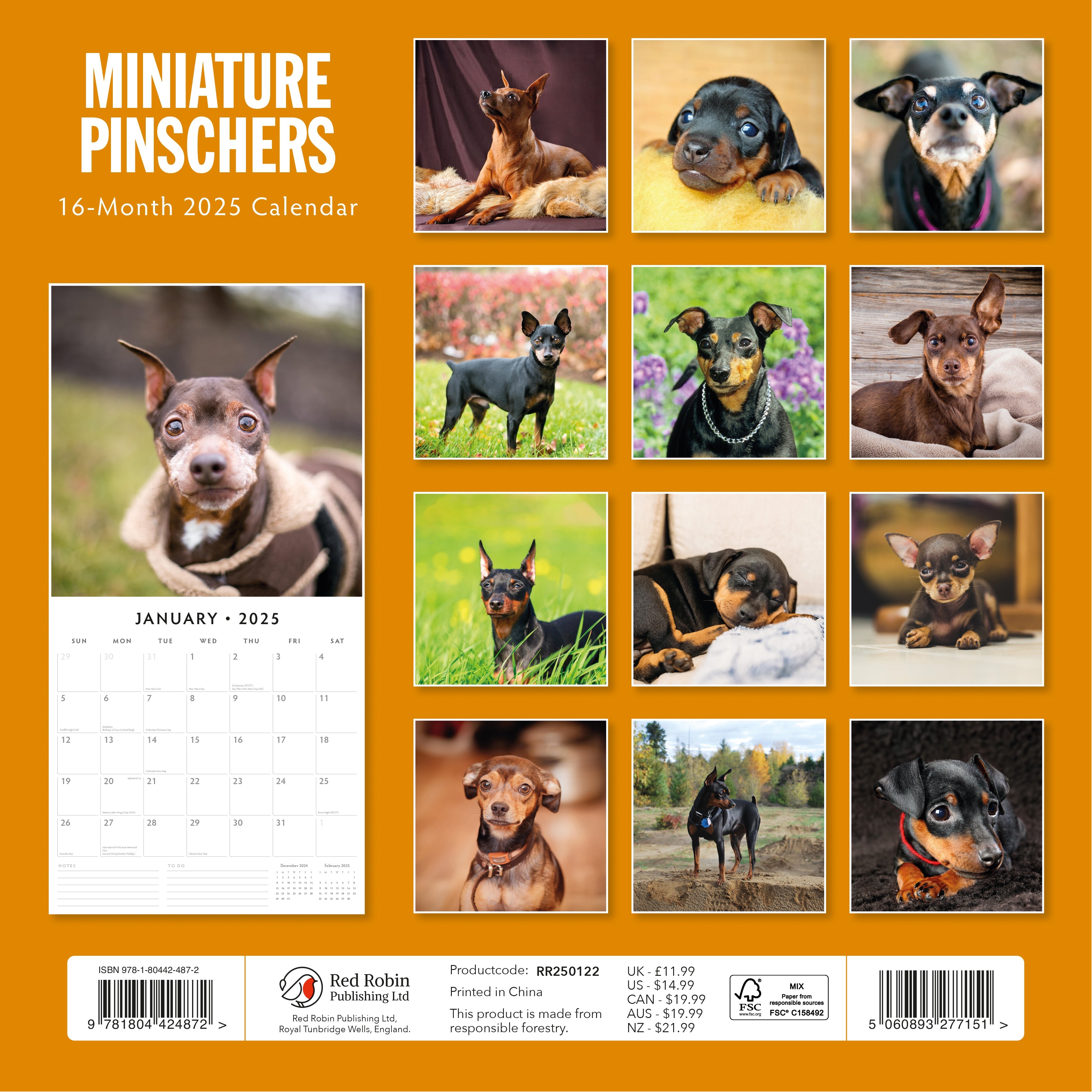 2025 Miniature Pinschers - Square Wall Calendar