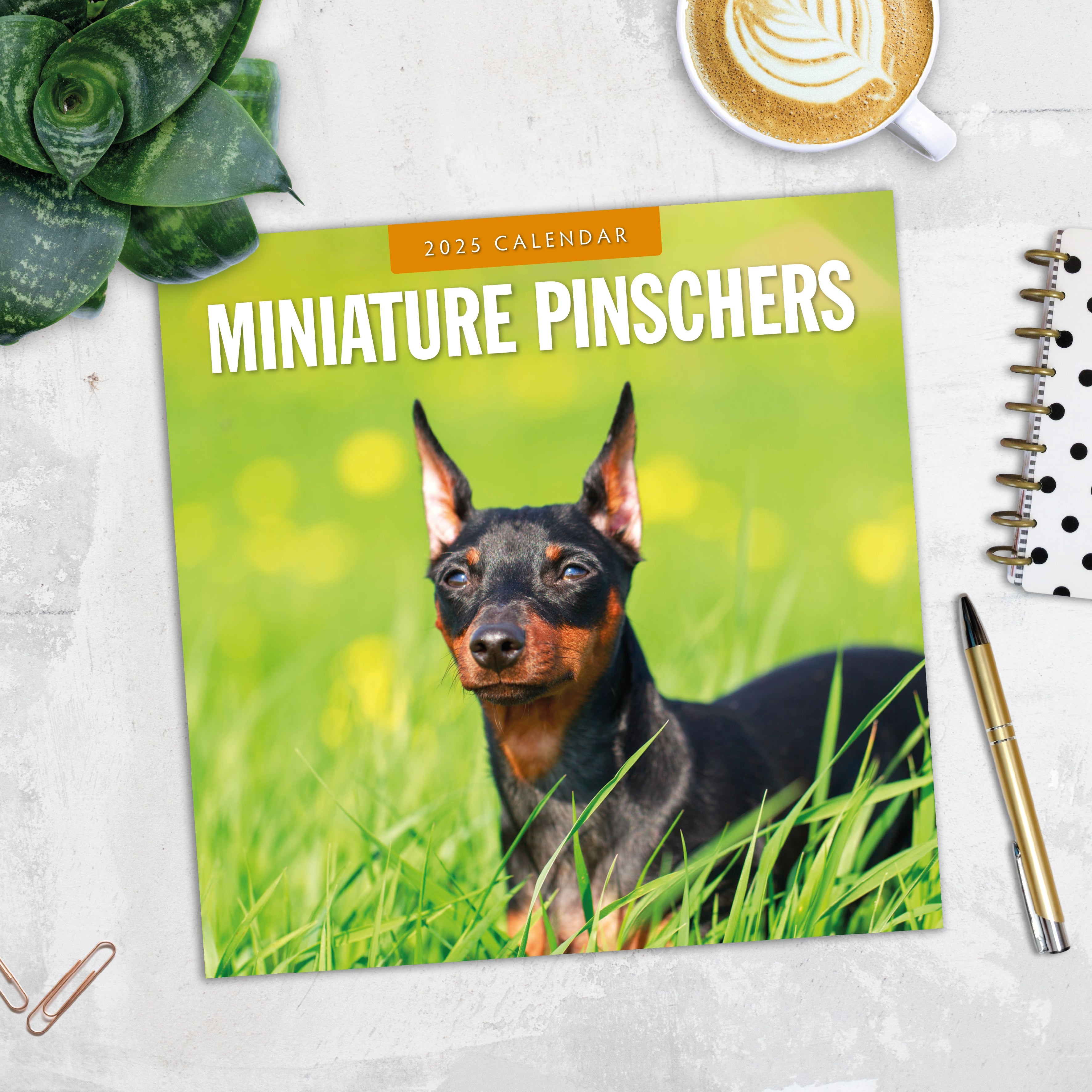 2025 Miniature Pinschers - Square Wall Calendar