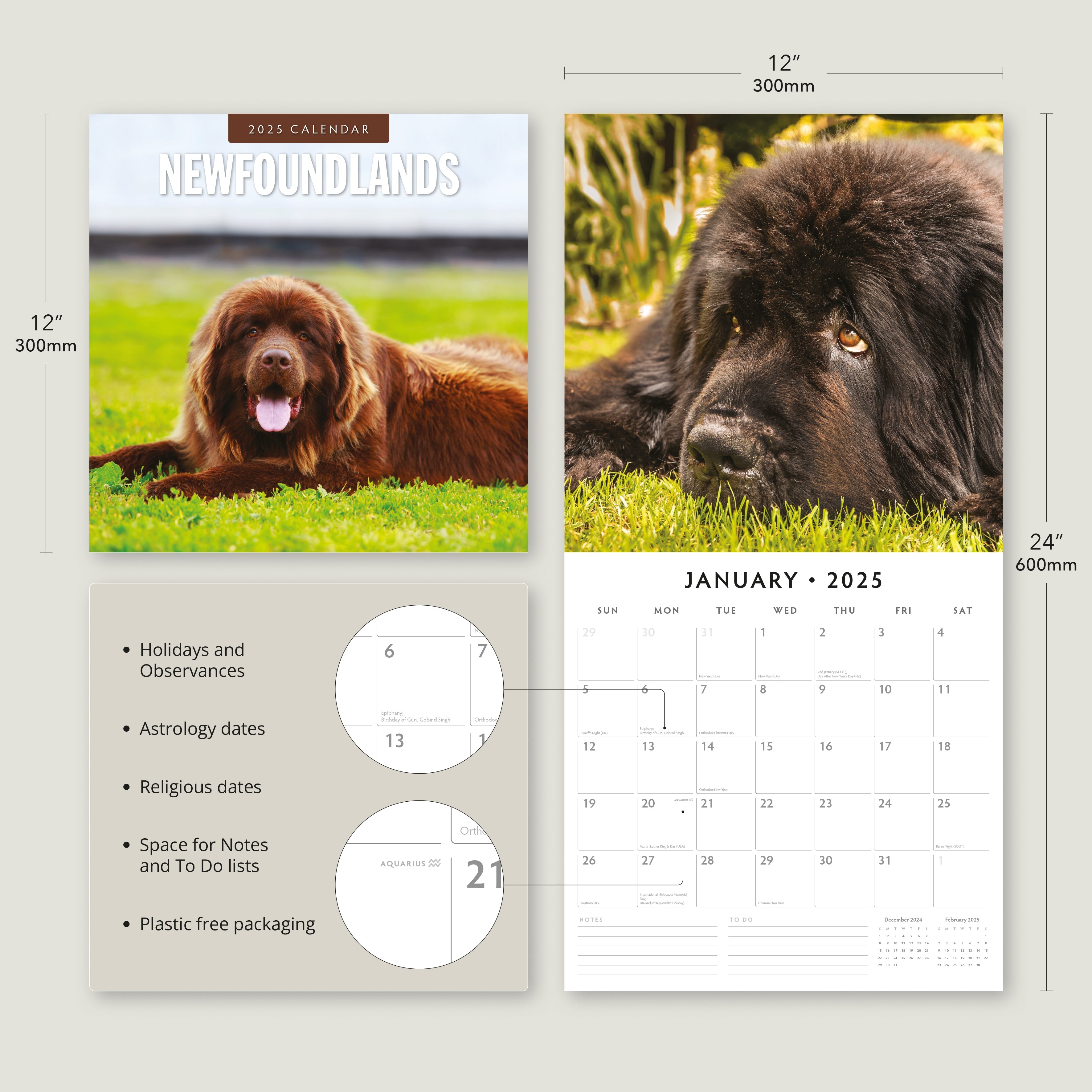 2025 Newfoundlands - Square Wall Calendar