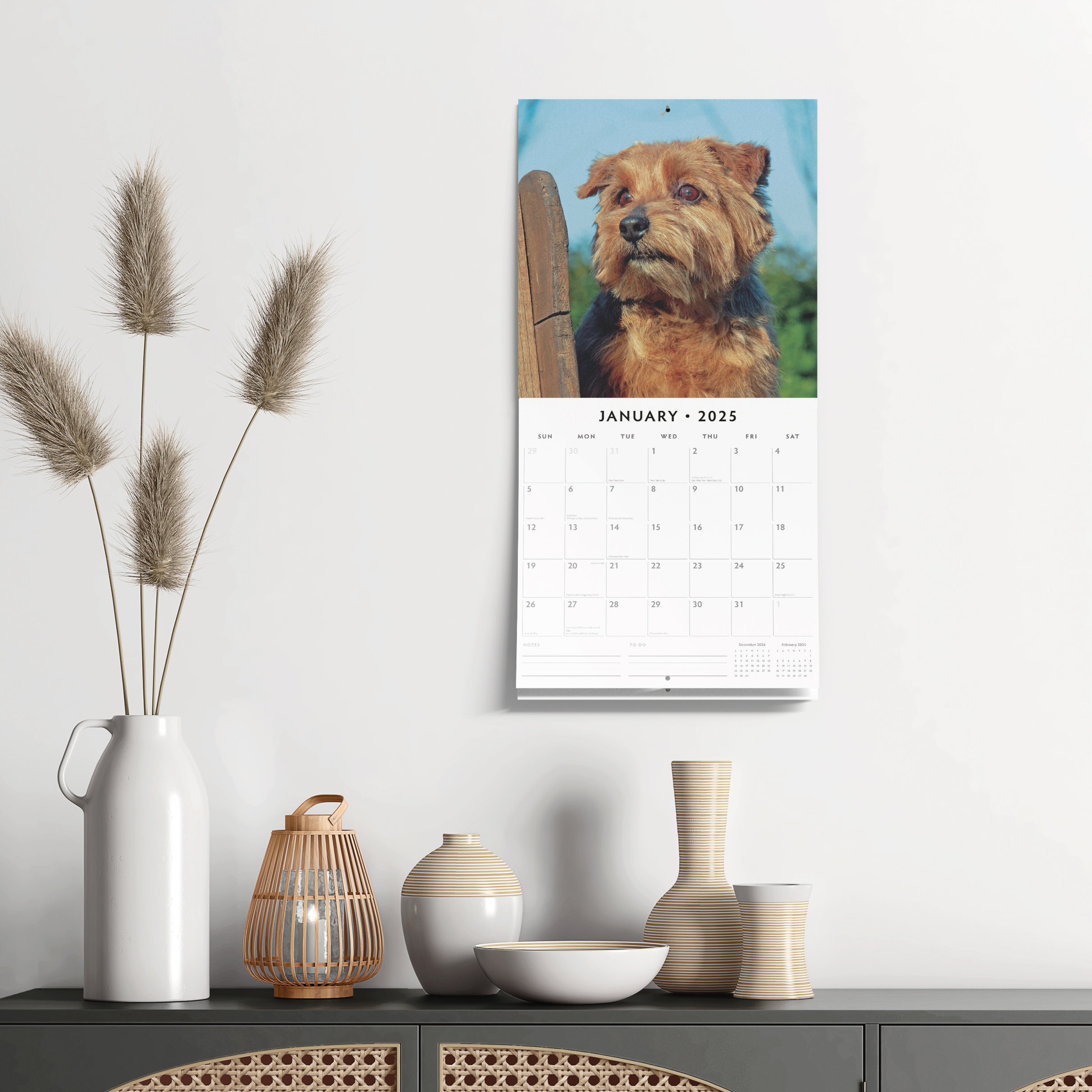 2025 Norwich & Norfolk Terriers - Square Wall Calendar