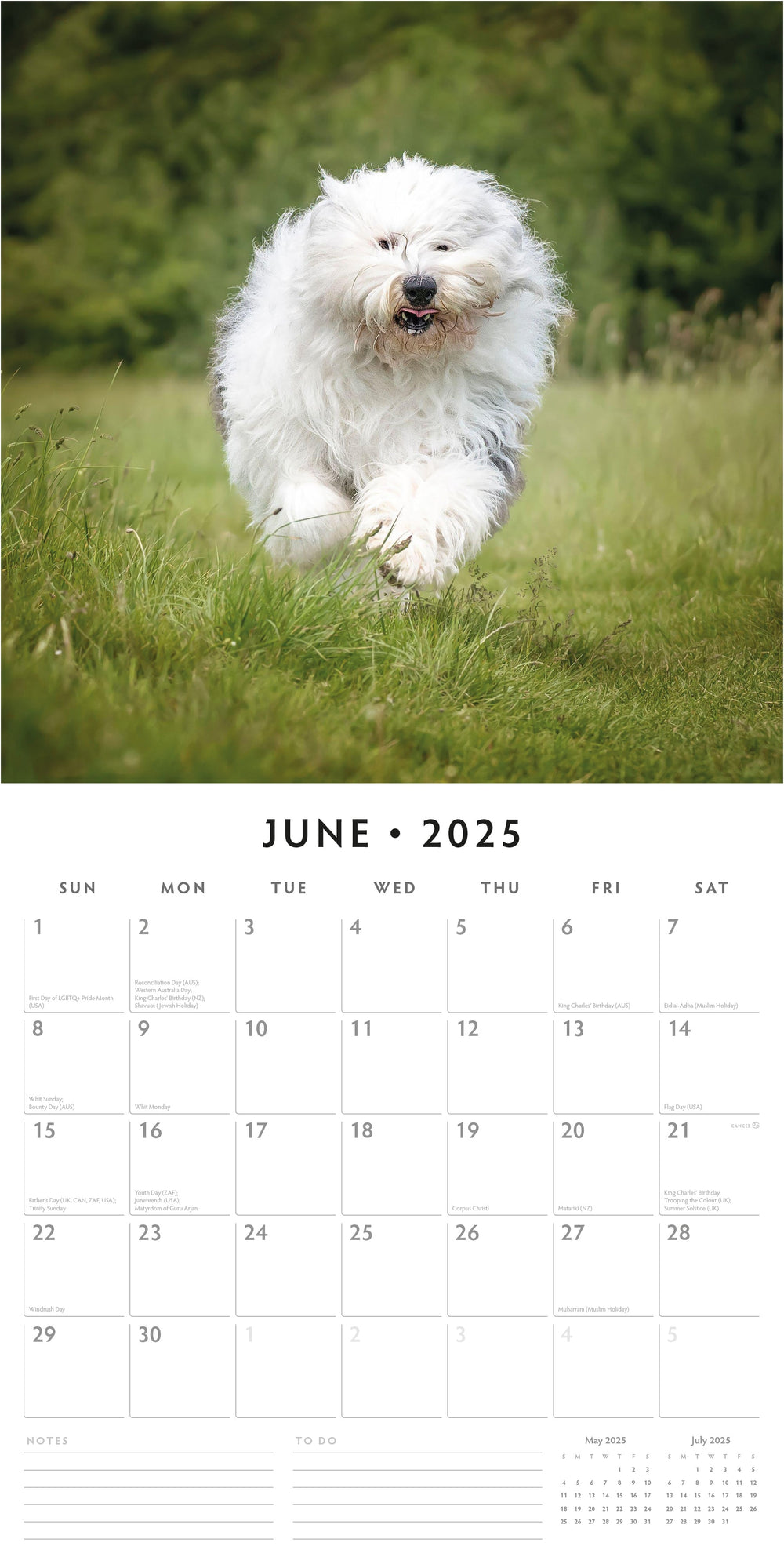 Dogs Calendar 2025 Over 100 Breeds To Choose From