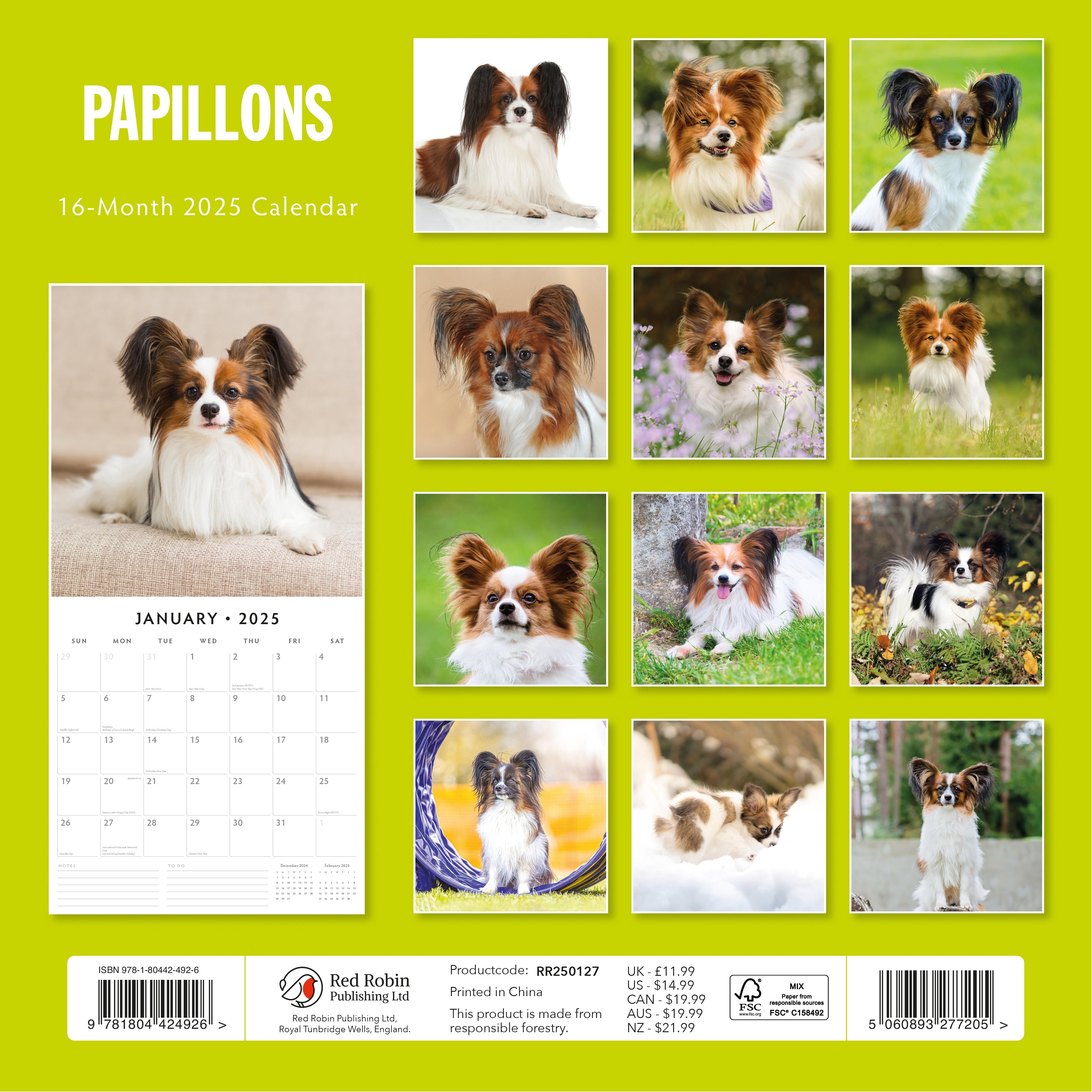 2025 Papillions - Square Wall Calendar