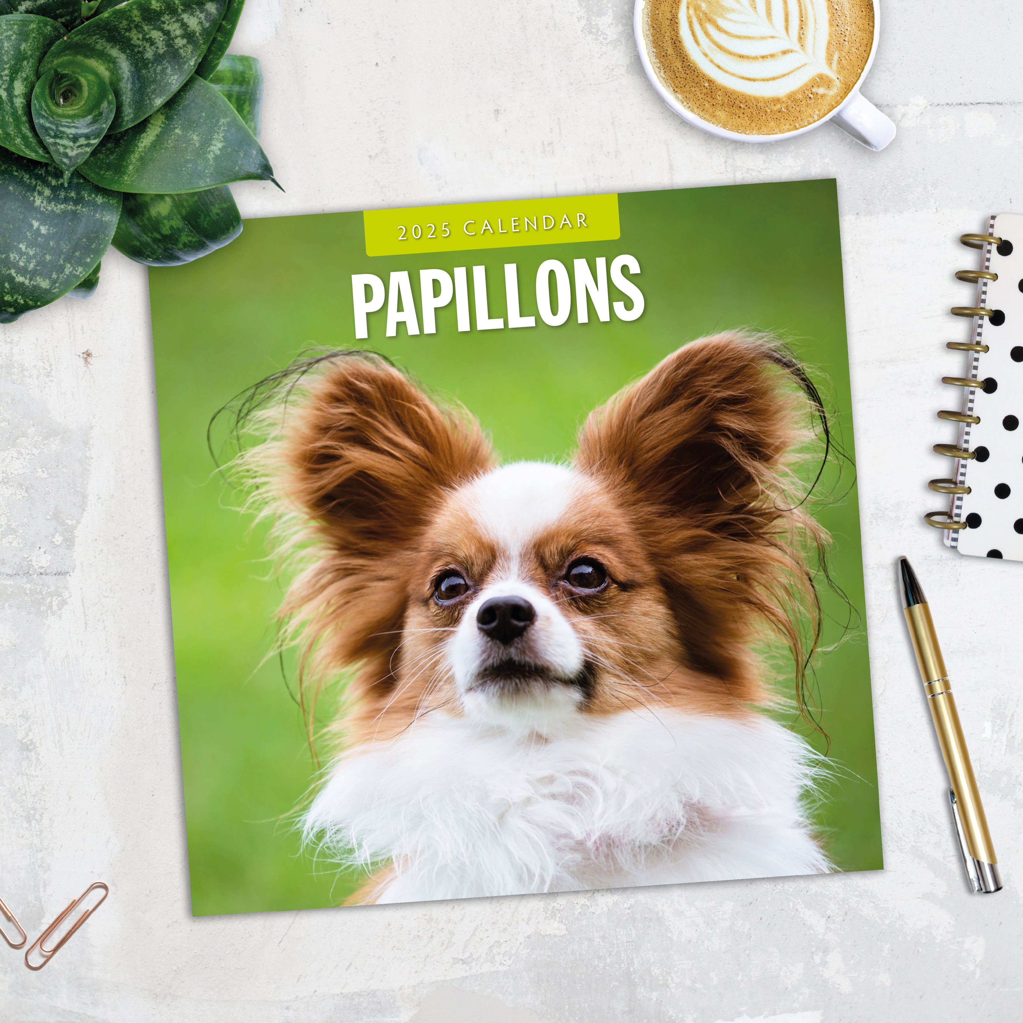 2025 Papillions - Square Wall Calendar