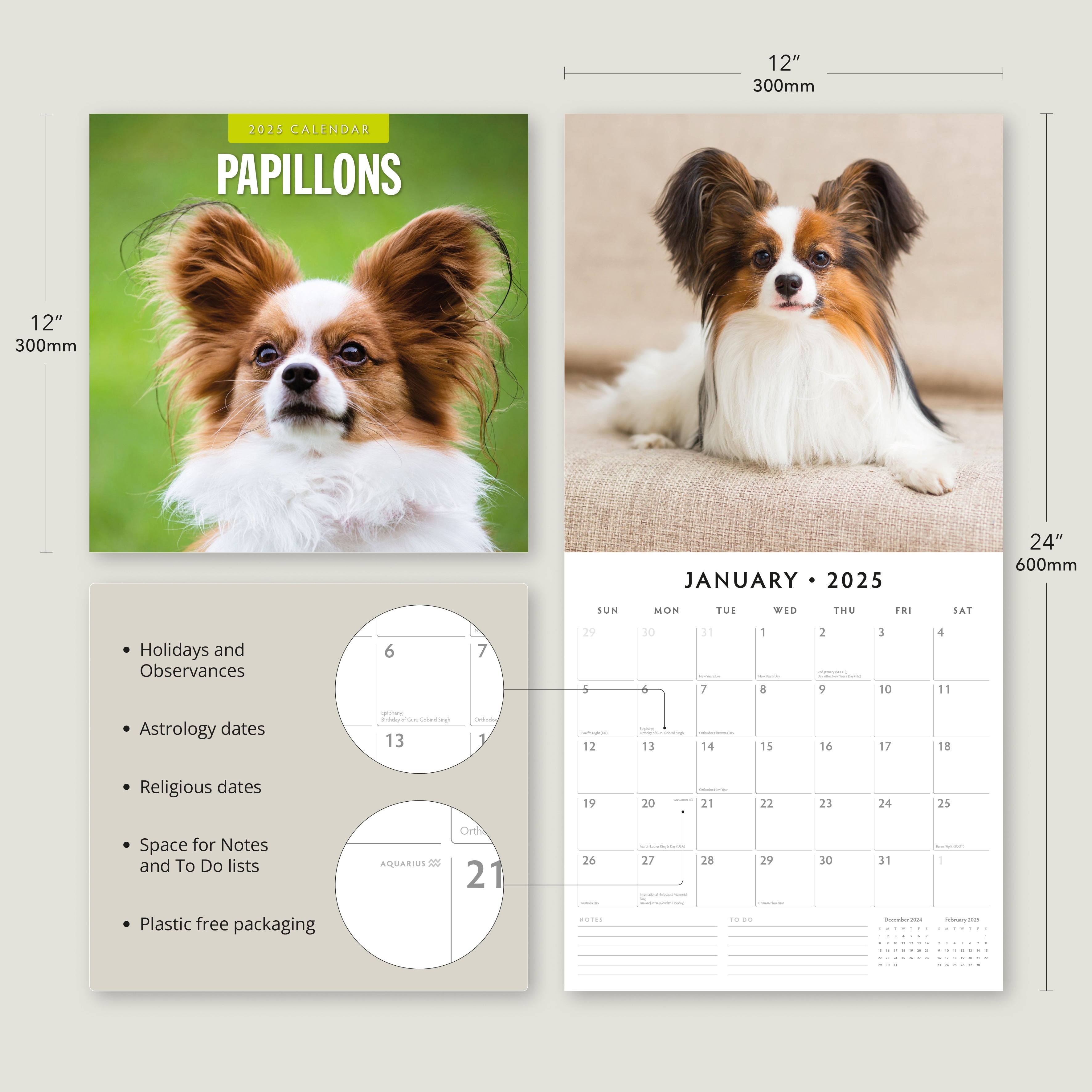 2025 Papillions - Square Wall Calendar