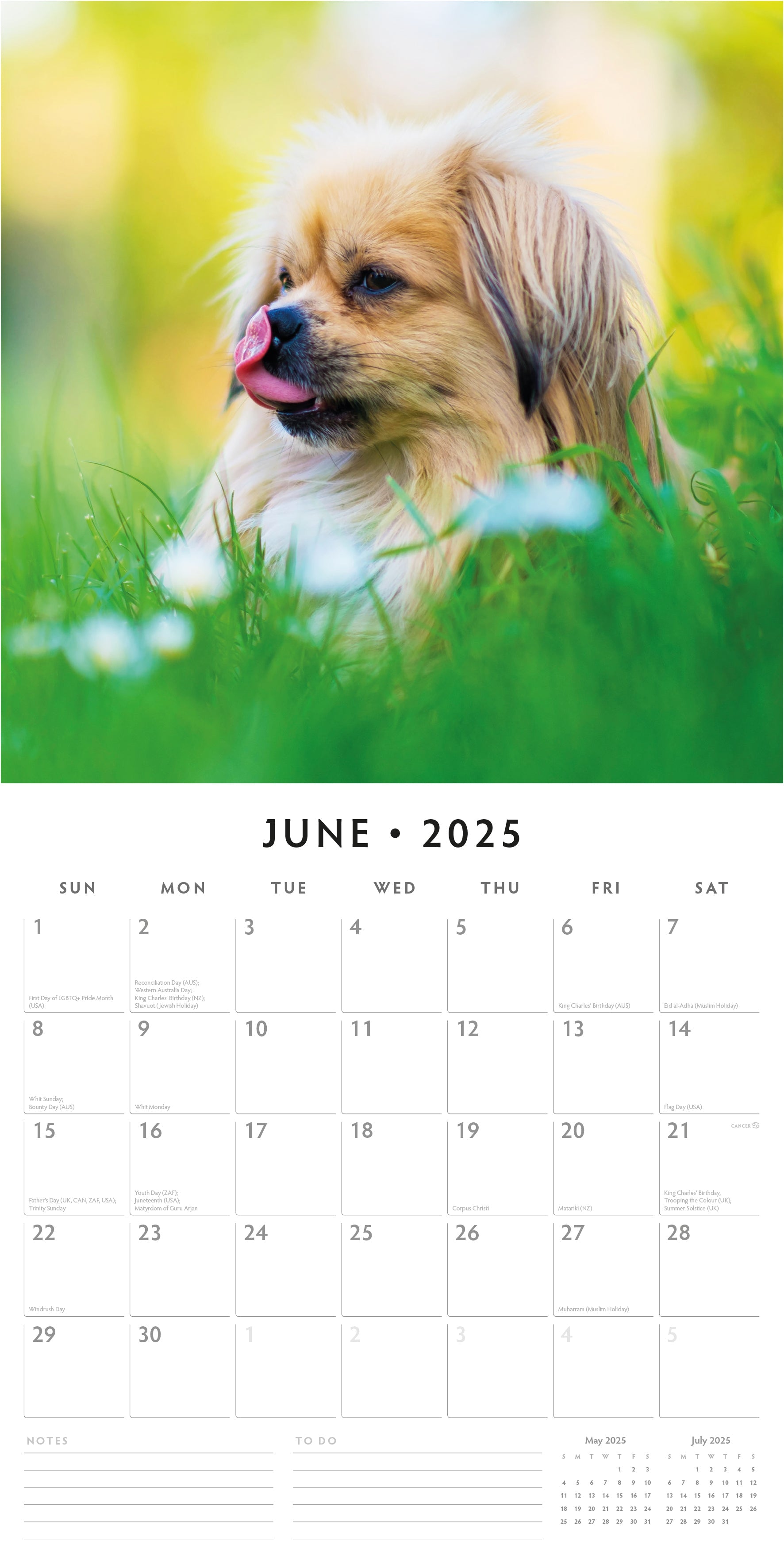 2025 Pekingese - Square Wall Calendar