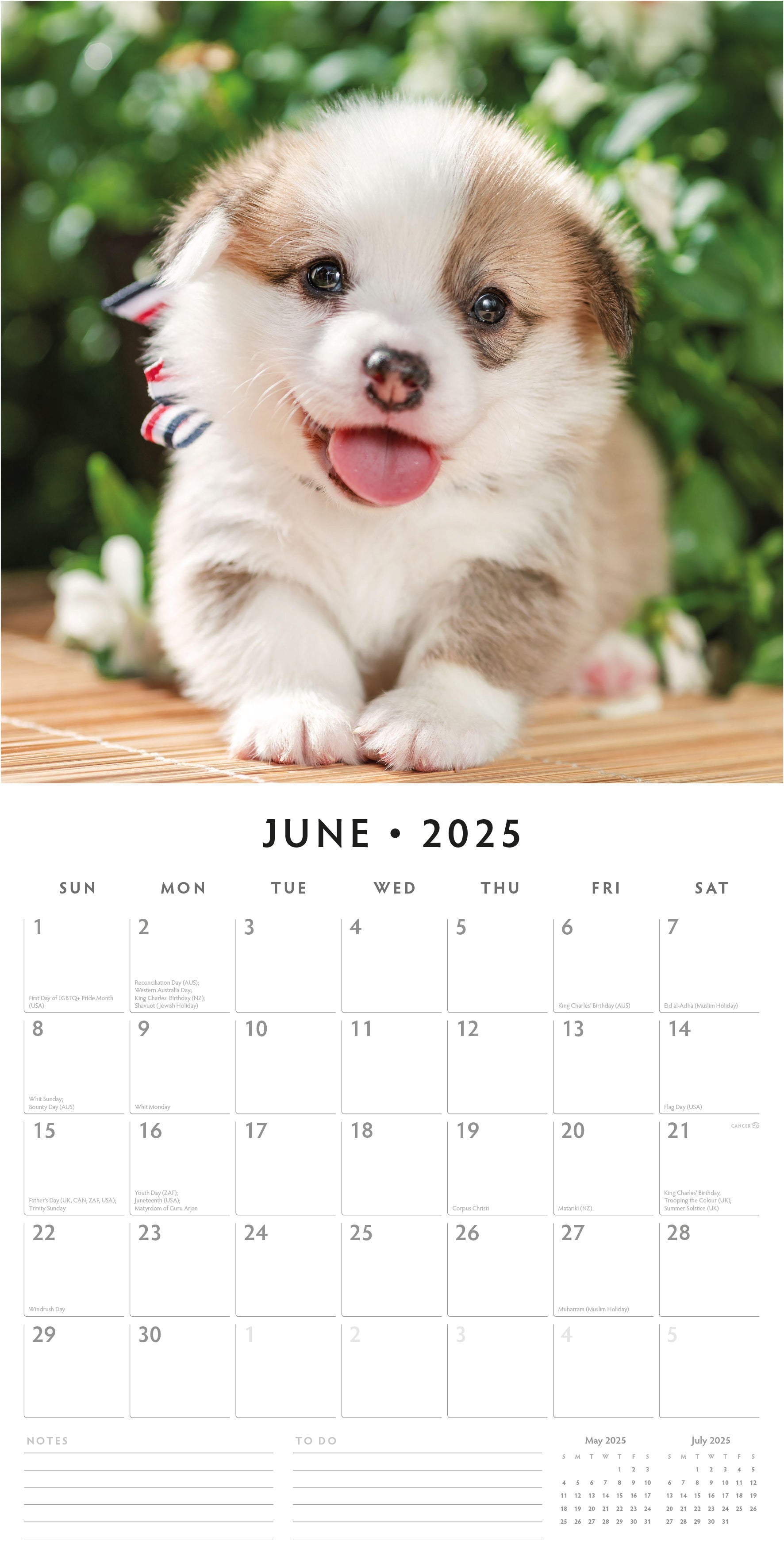 2025 Pembroke Welsh Corgis - Square Wall Calendar