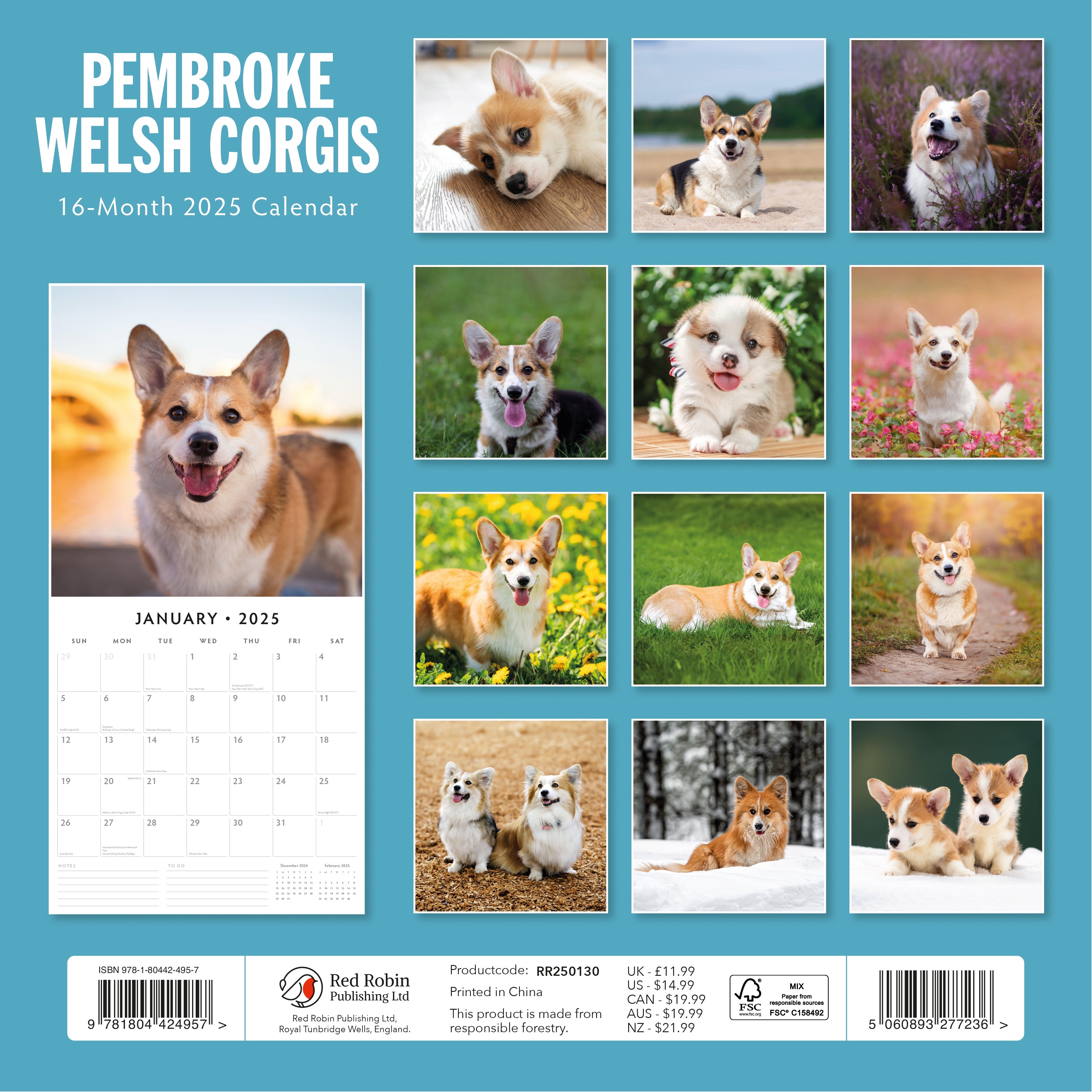 2025 Pembroke Welsh Corgis - Square Wall Calendar