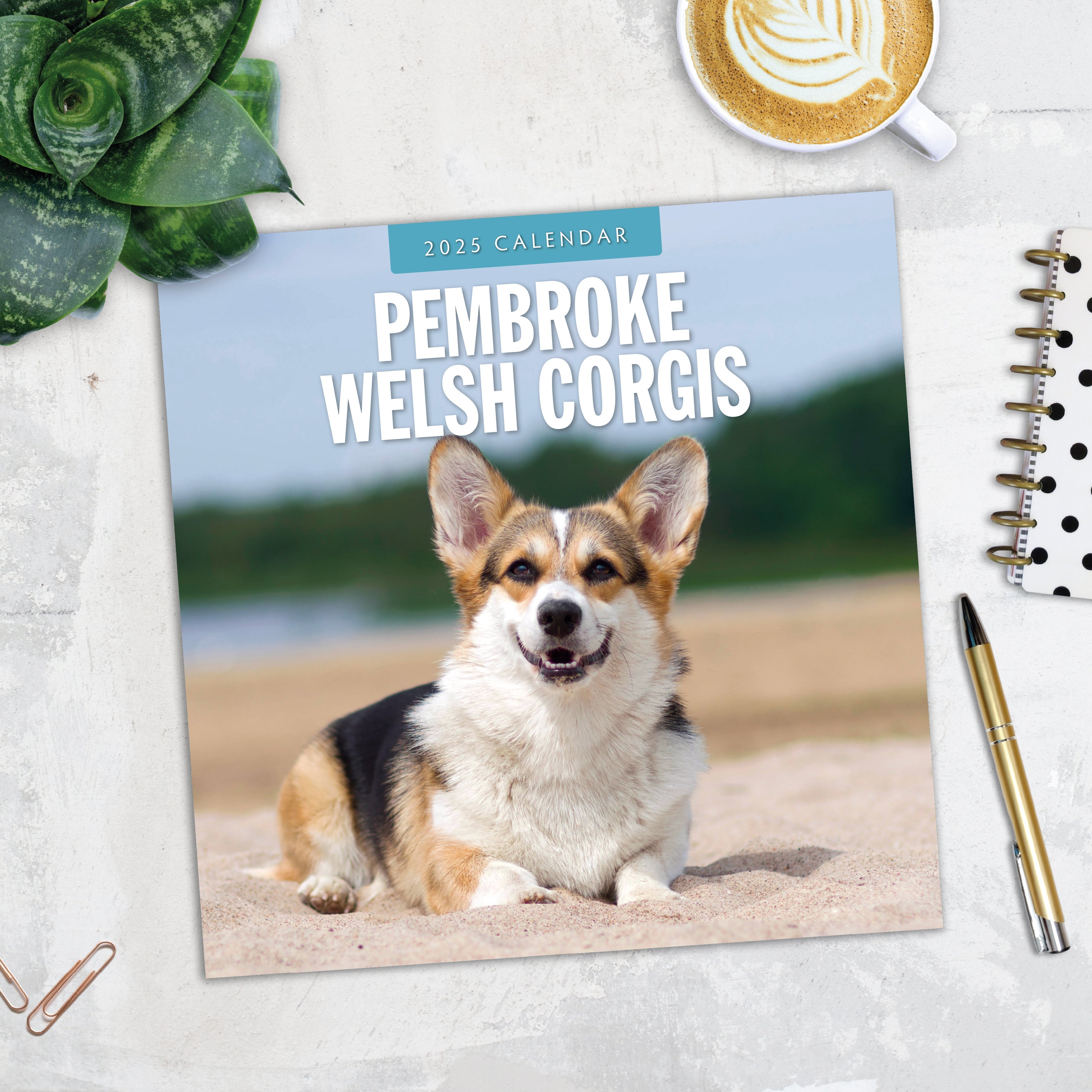 2025 Pembroke Welsh Corgis - Square Wall Calendar