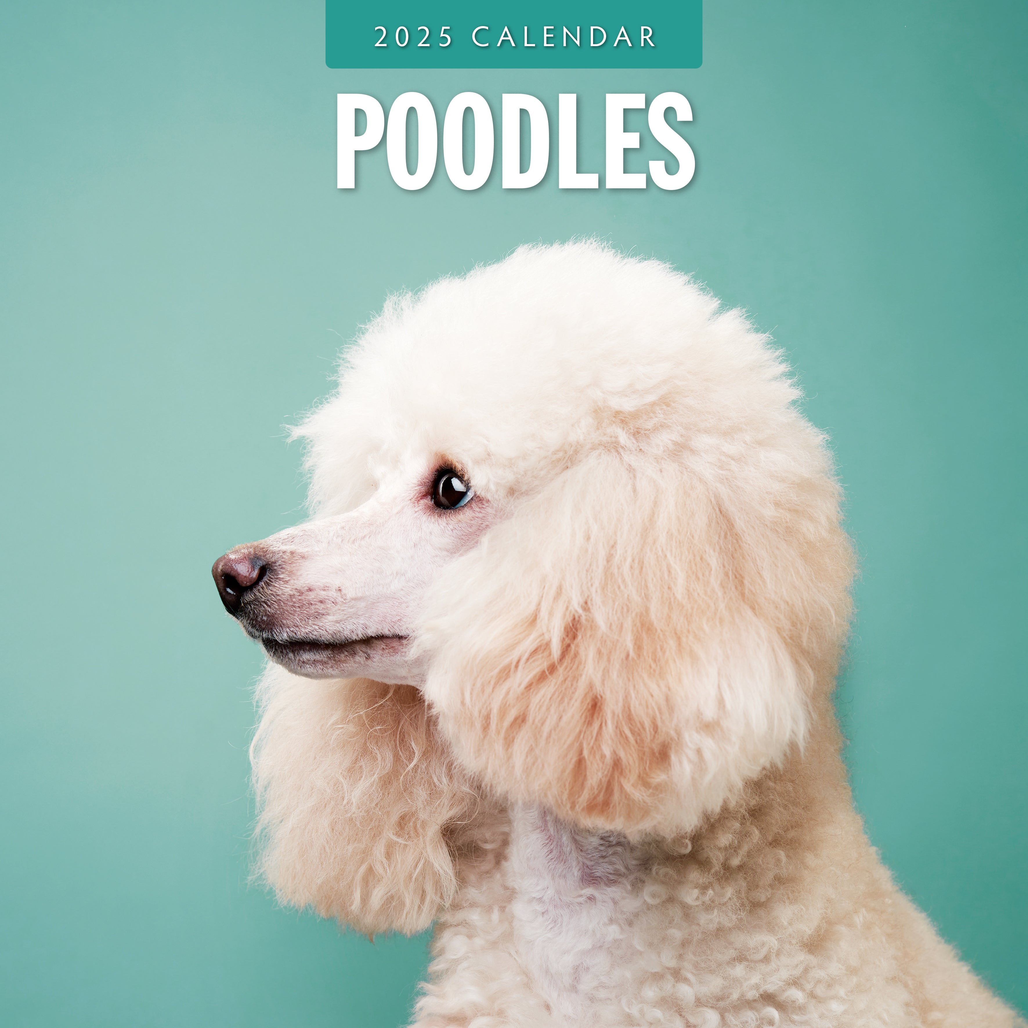 2025 Poodles - Square Wall Calendar