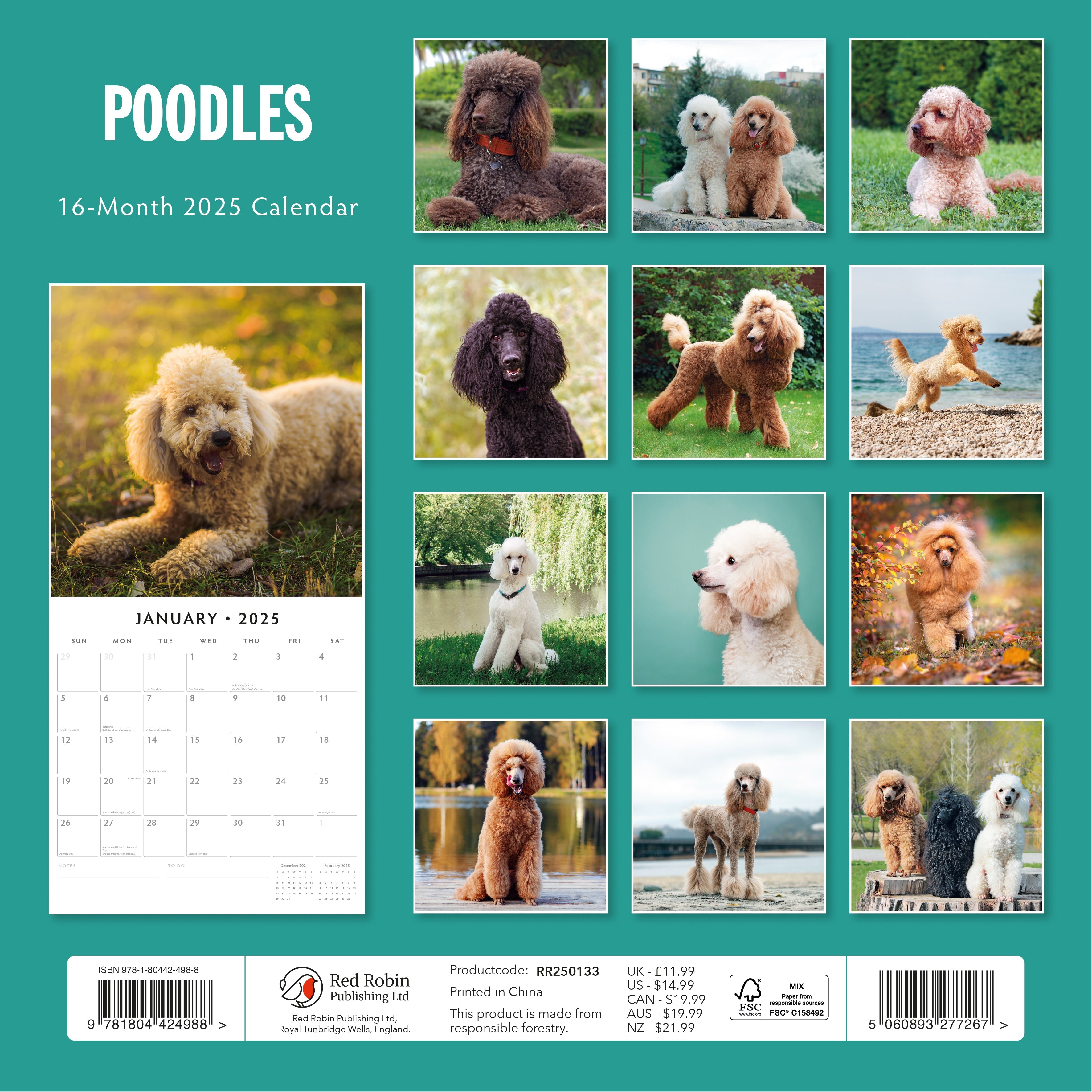 2025 Poodles - Square Wall Calendar