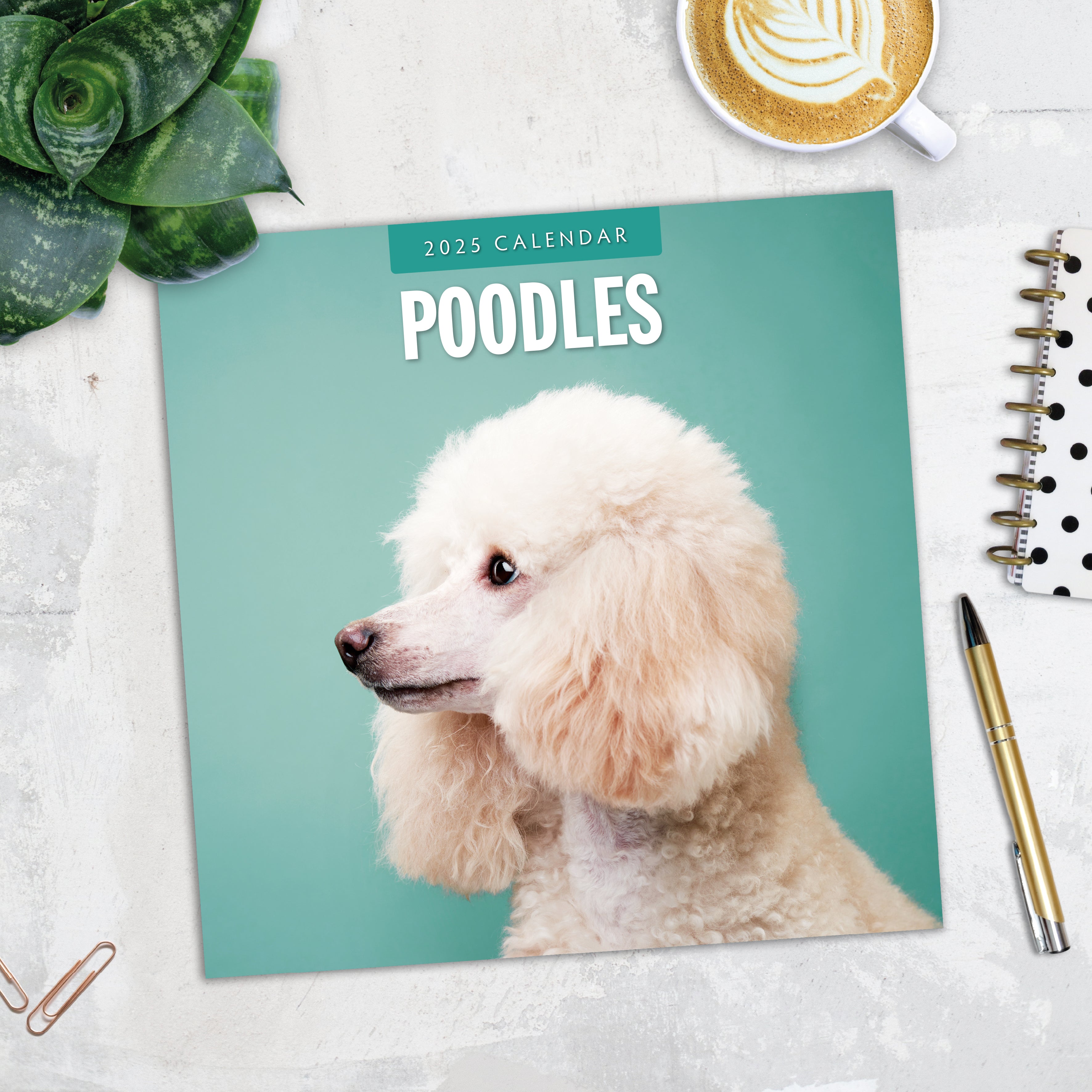 2025 Poodles - Square Wall Calendar