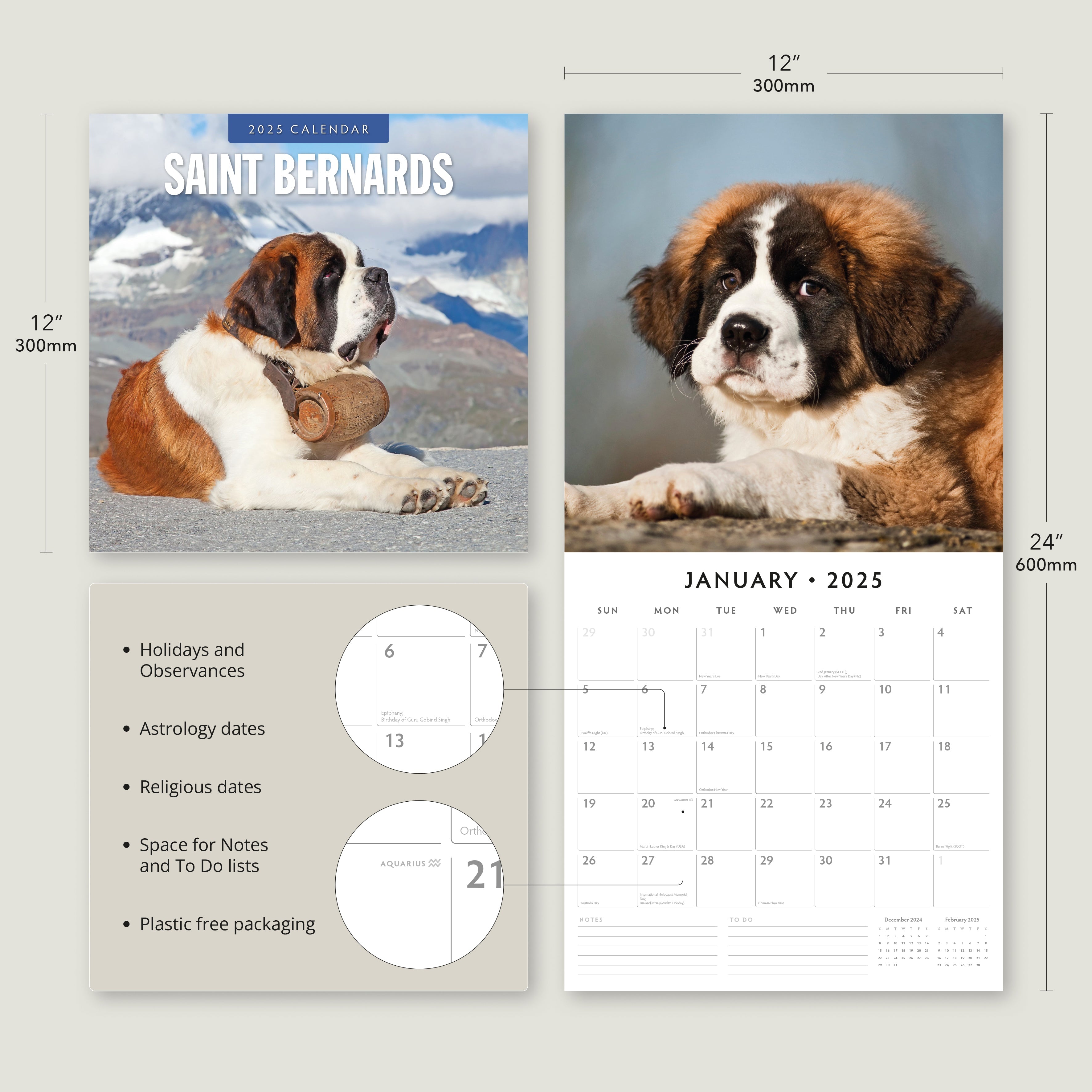 2025 Saint Bernards - Square Wall Calendar