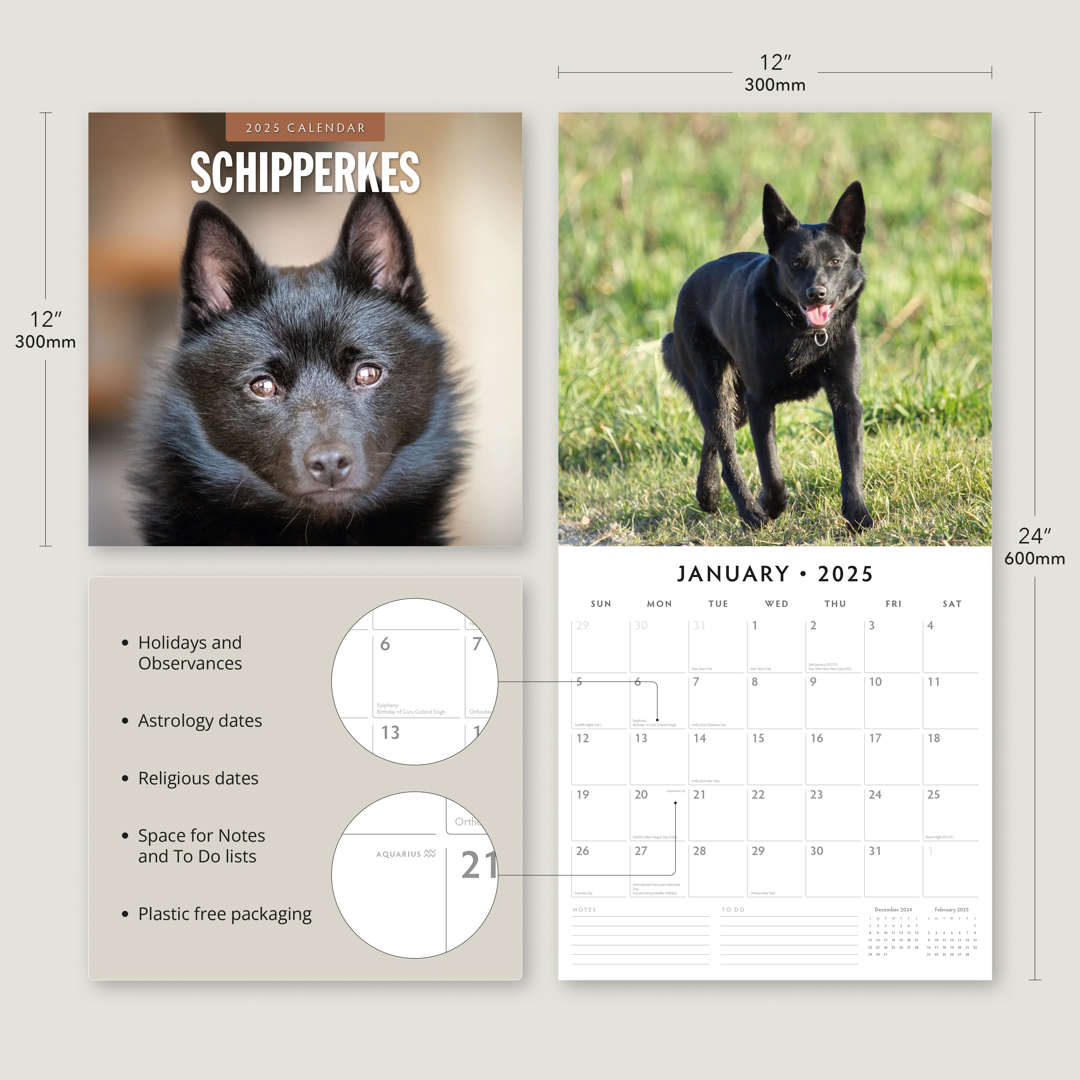 2025 Schipperkes - Square Wall Calendar