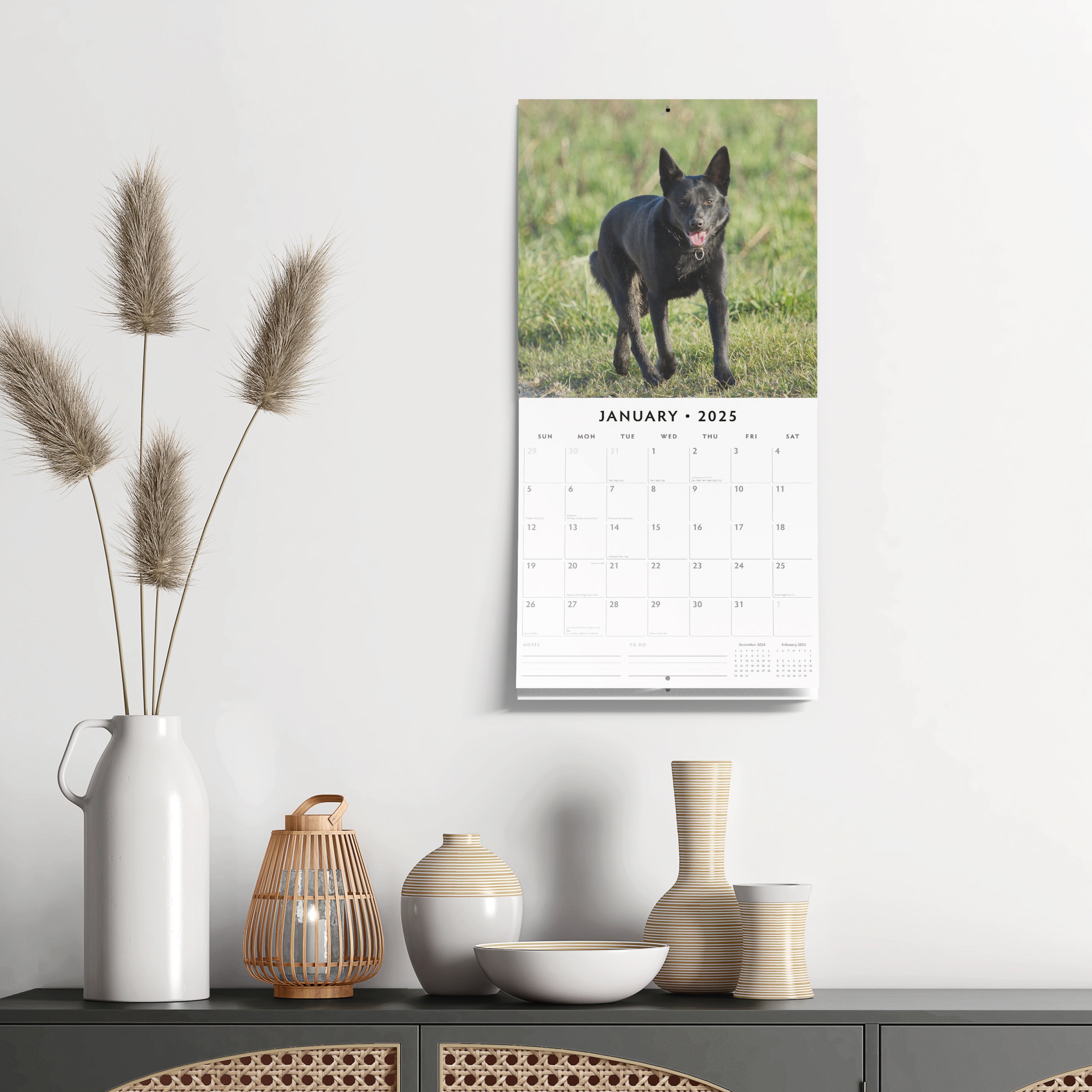 2025 Schipperkes - Square Wall Calendar