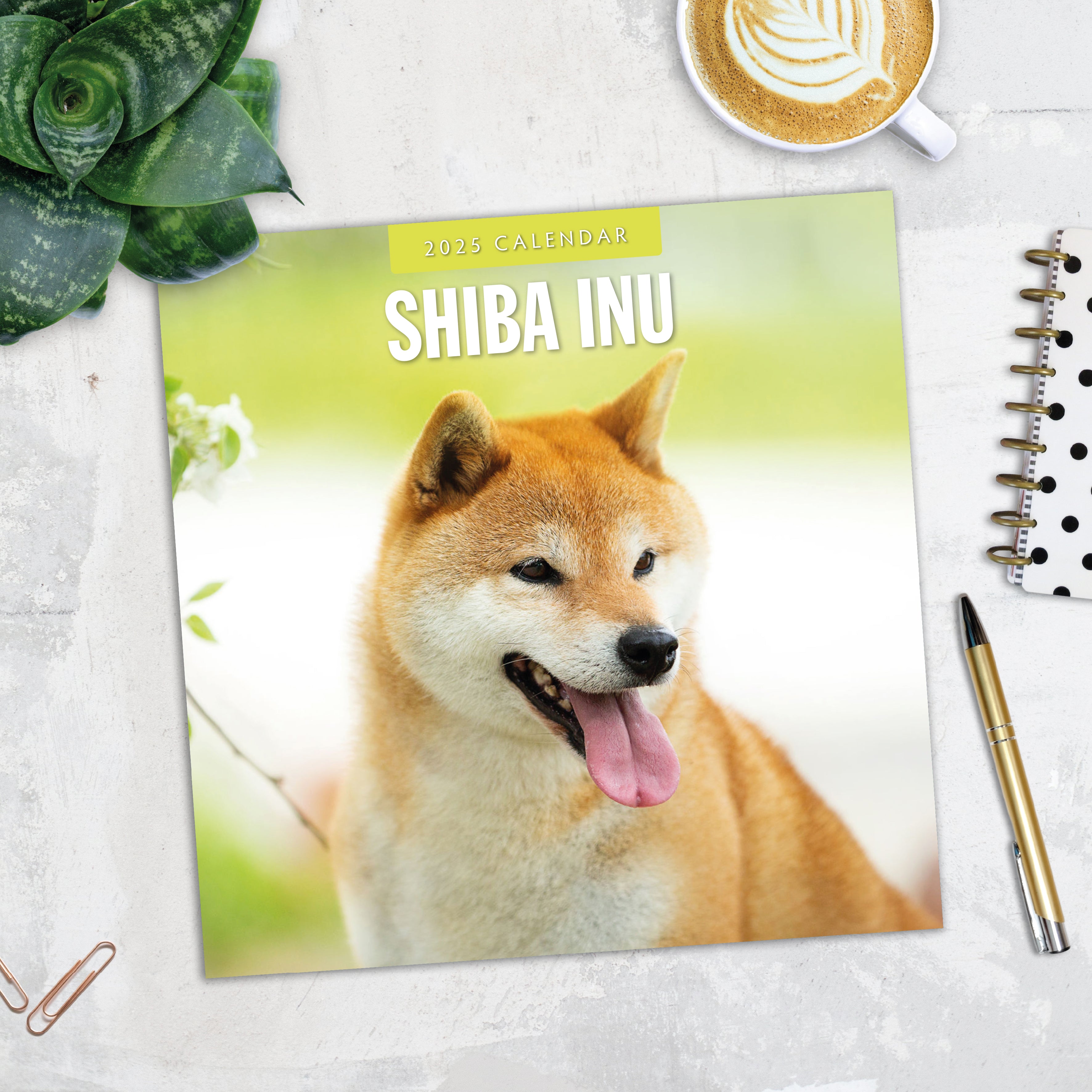 2025 Shiba Inu - Square Wall Calendar