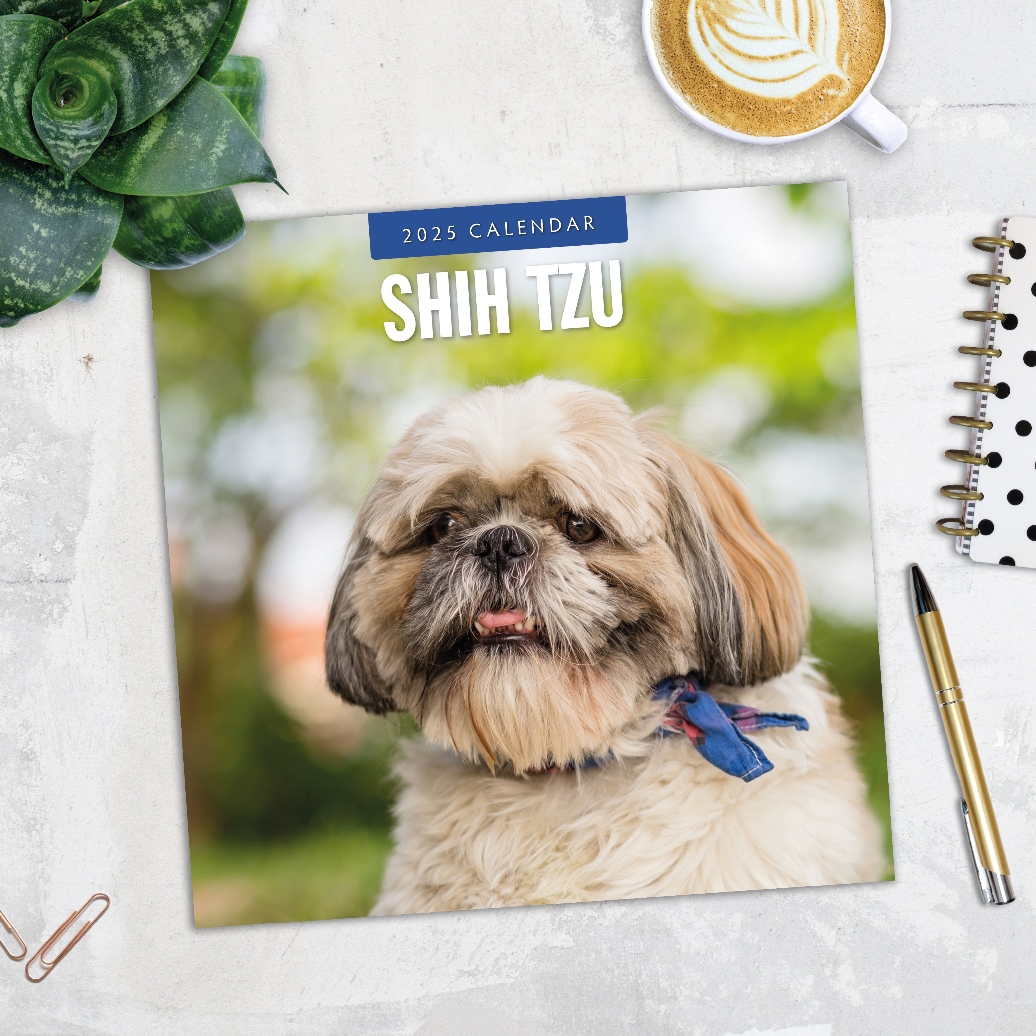 2025 Shih Tzu - Square Wall Calendar