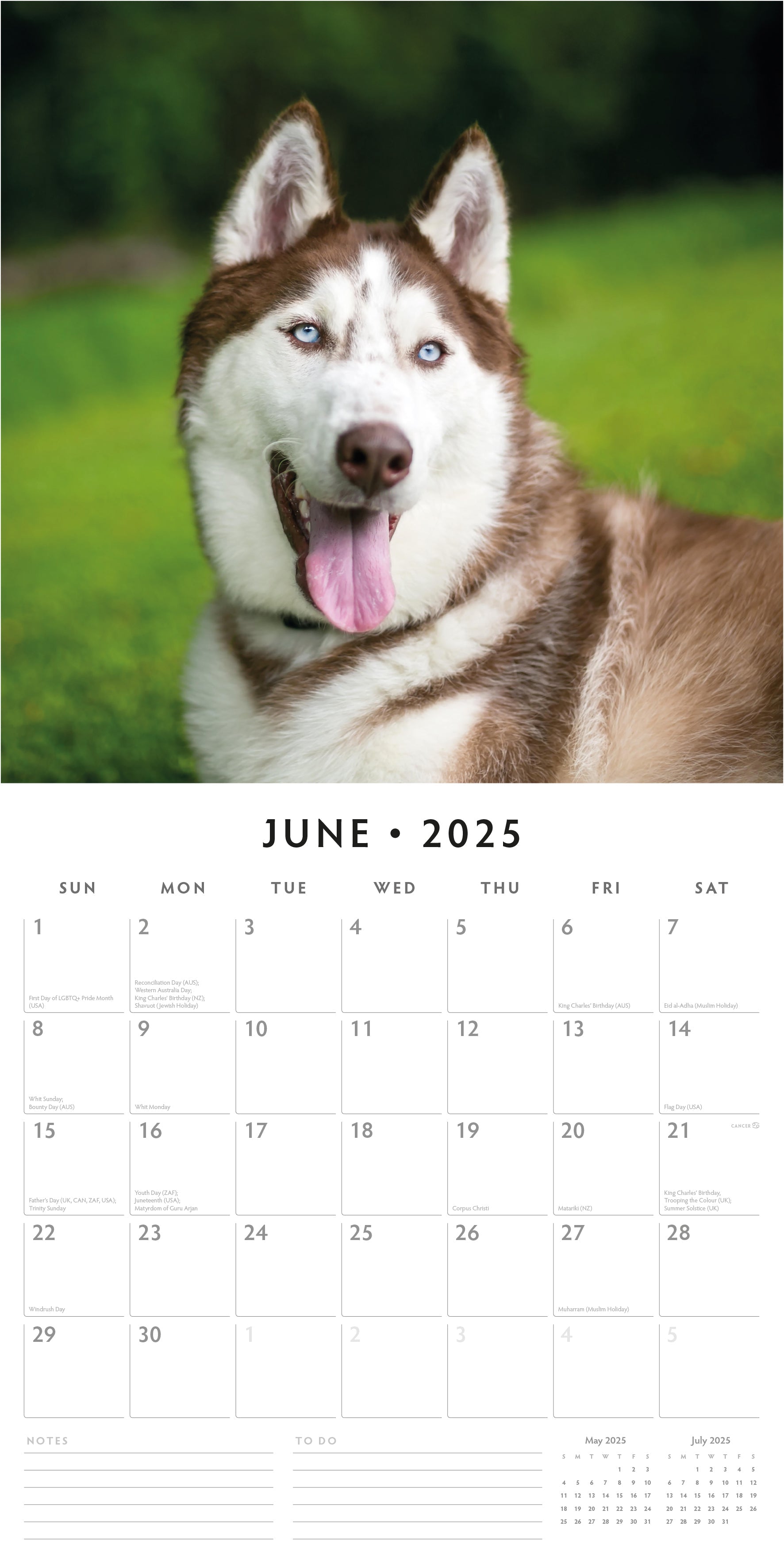 2025 Siberian Huskies - Square Wall Calendar