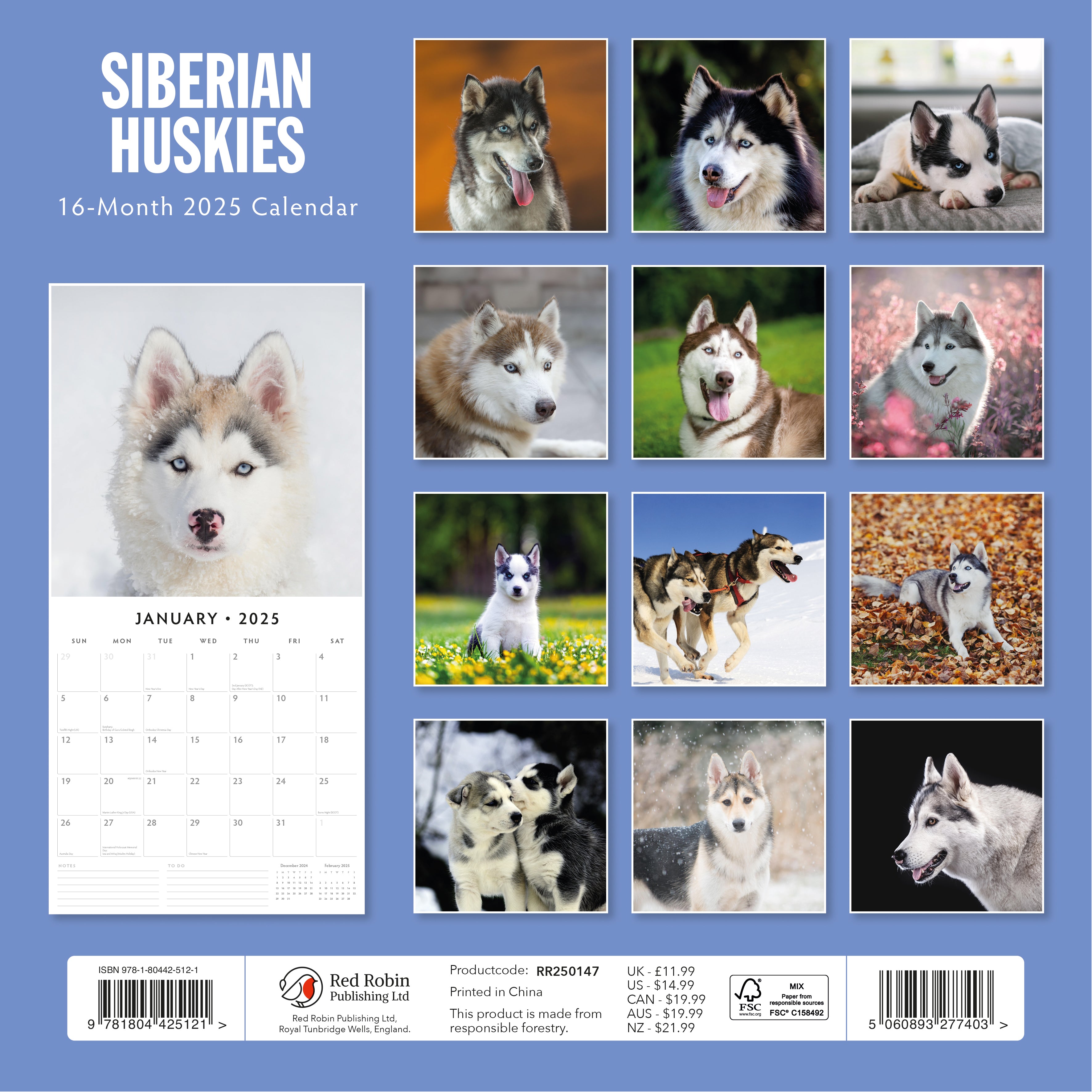 2025 Siberian Huskies - Square Wall Calendar