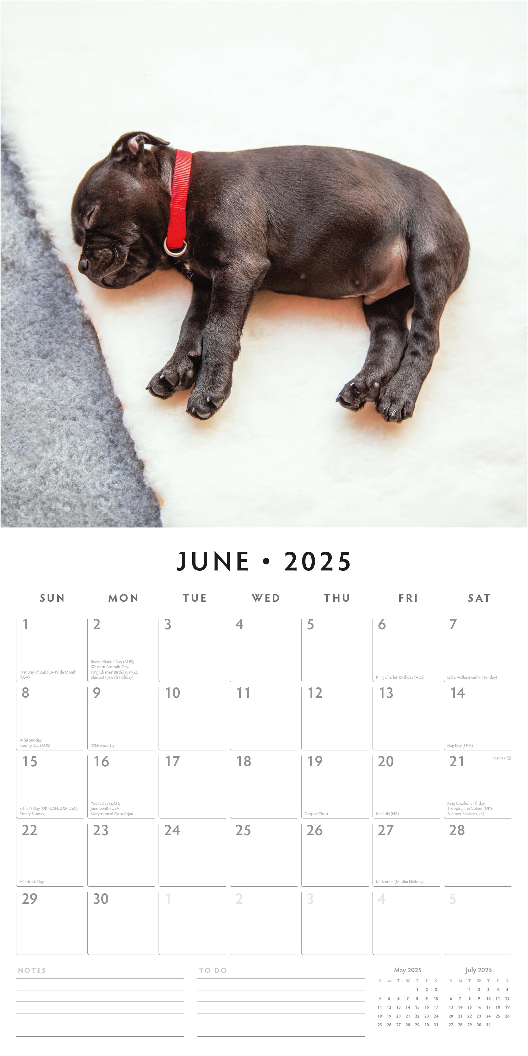 2025 Staffordshire Bull Terrier Puppies - Square Wall Calendar