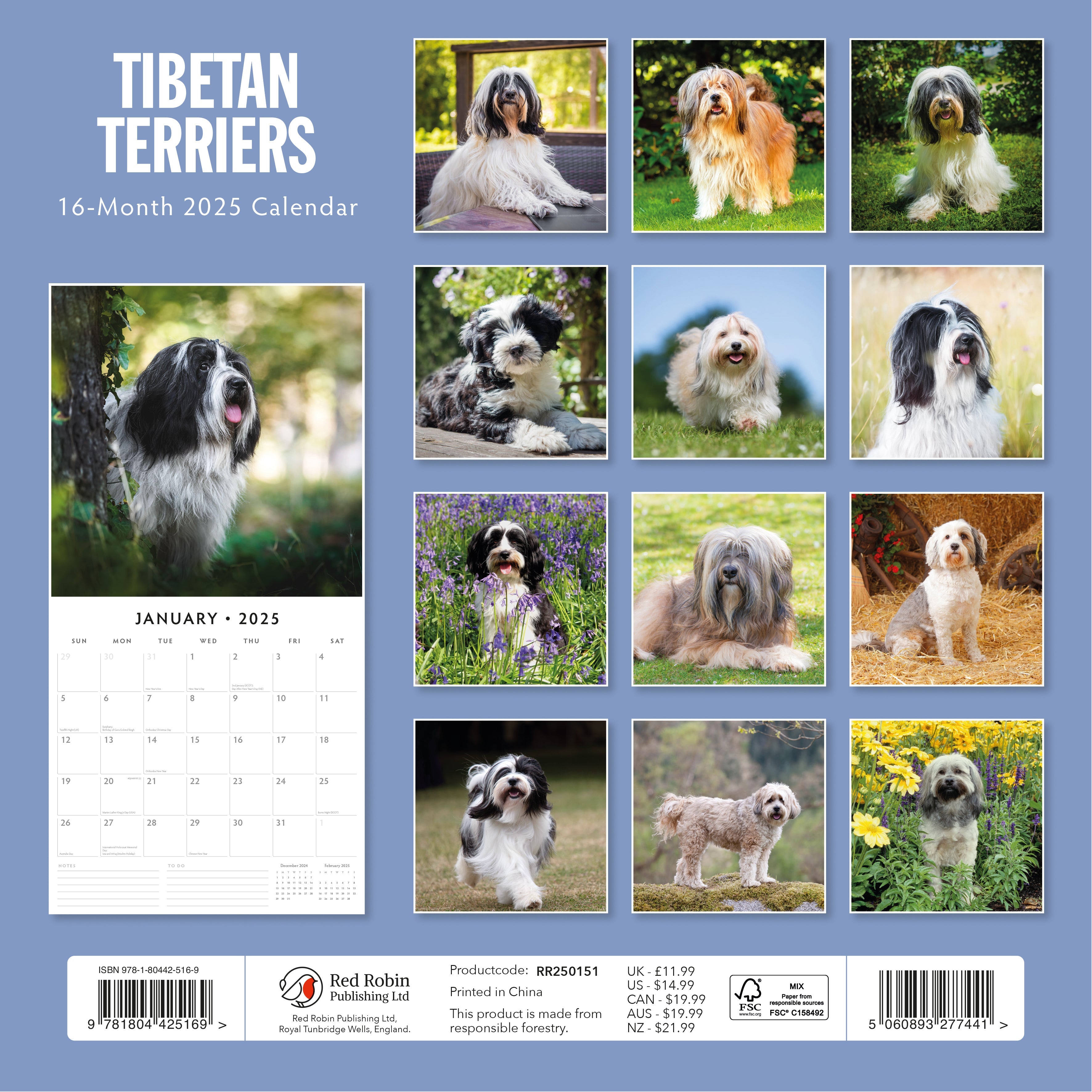 2025 Tibetan Terriers - Square Wall Calendar