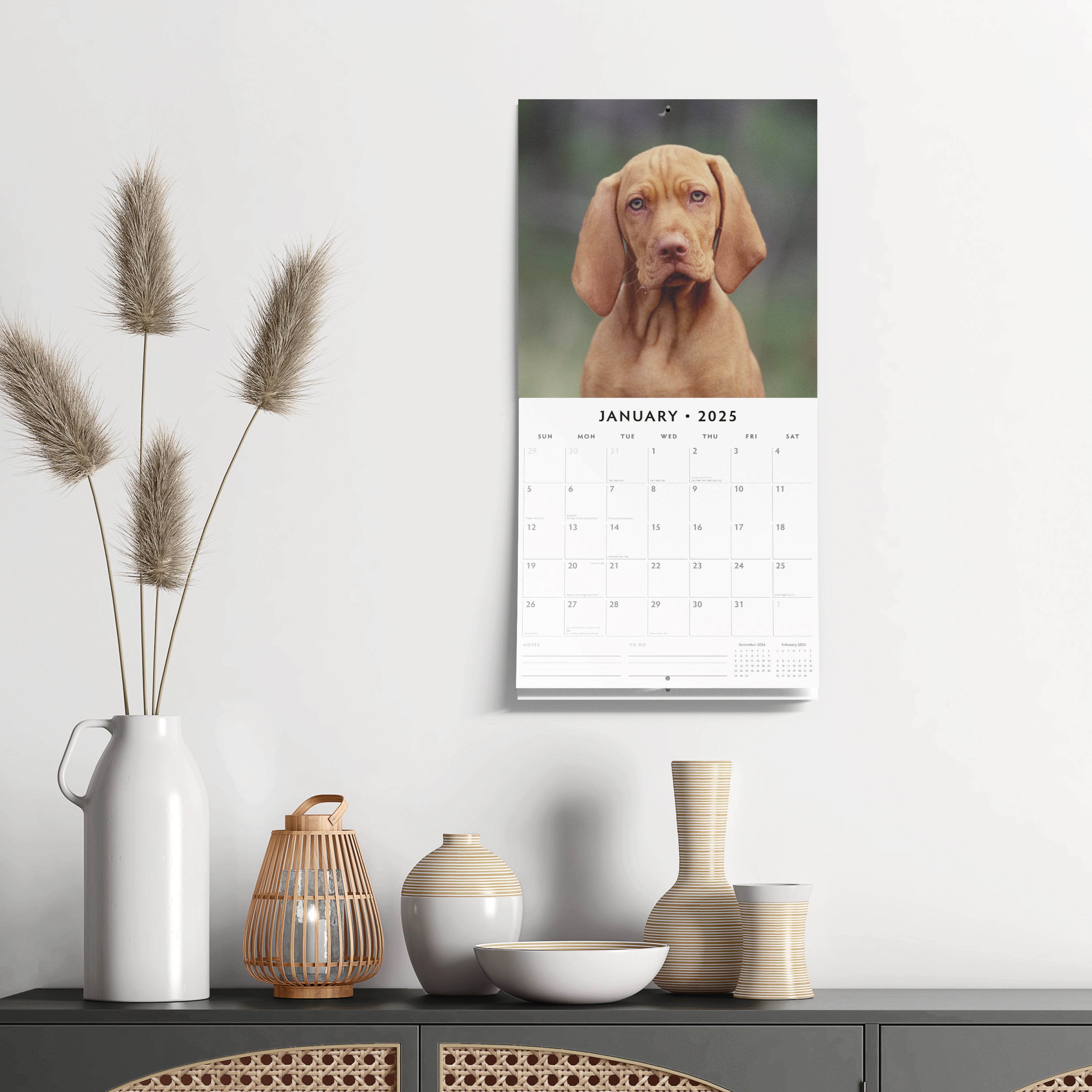 2025 Vizslas - Square Wall Calendar